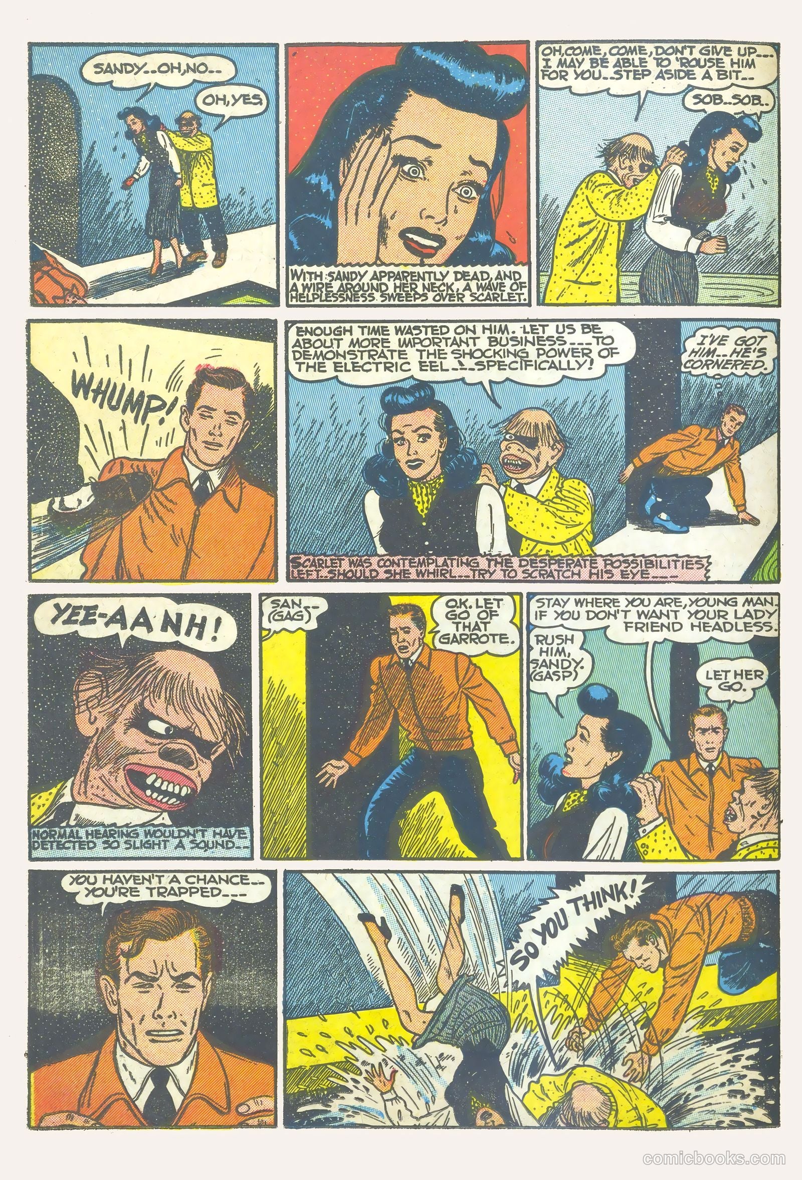 Black Cat #16 — page 20 of 52