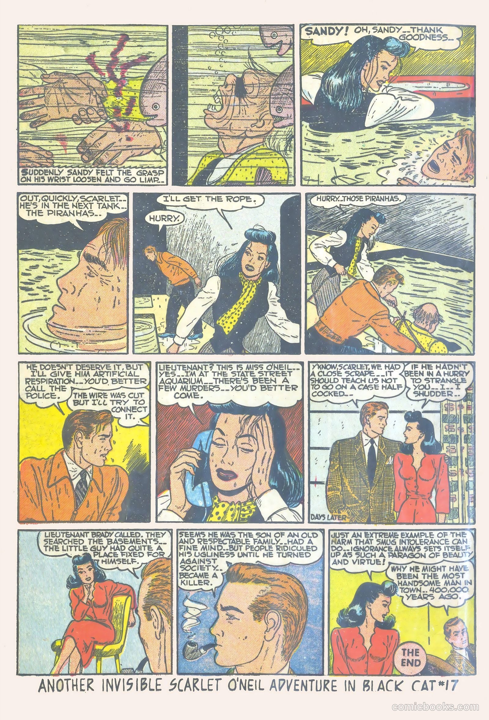 Black Cat #16 — page 22 of 52