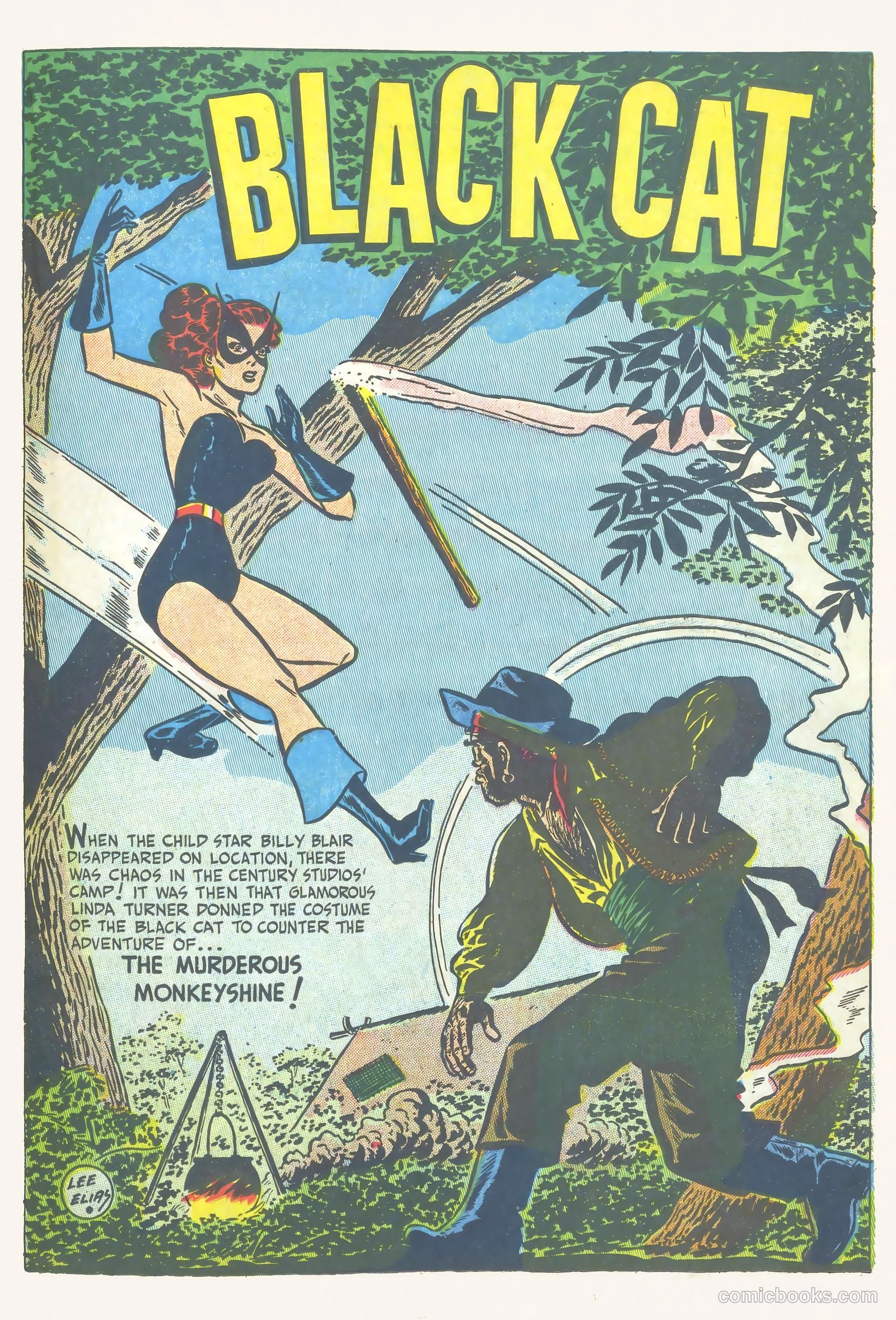 Black Cat #16 — page 29 of 52