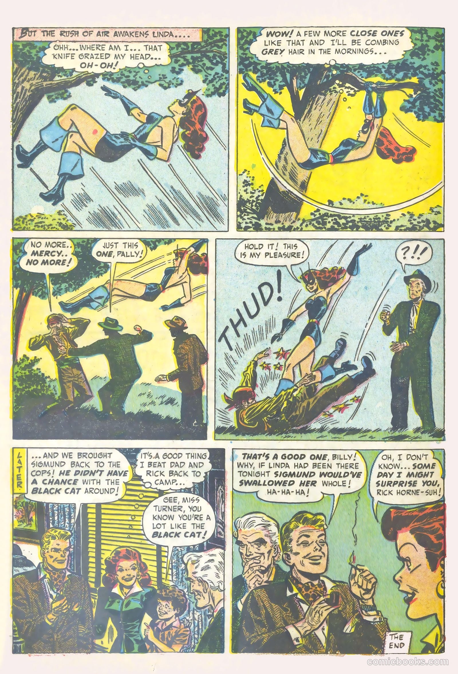 Black Cat #16 — page 36 of 52