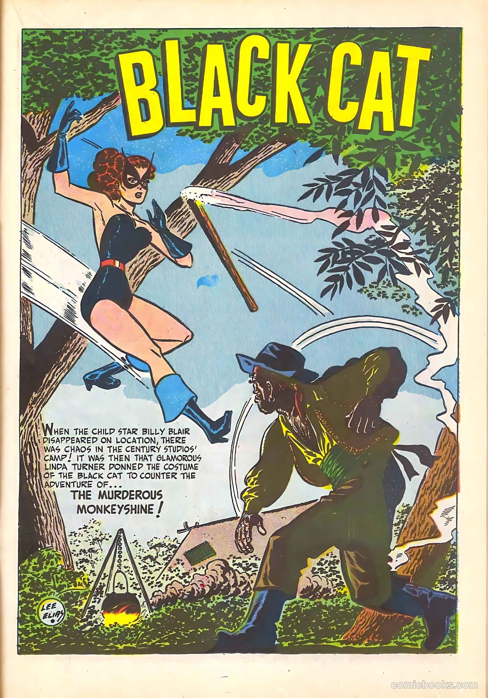 Black Cat Comics #16 — page 29 of 52