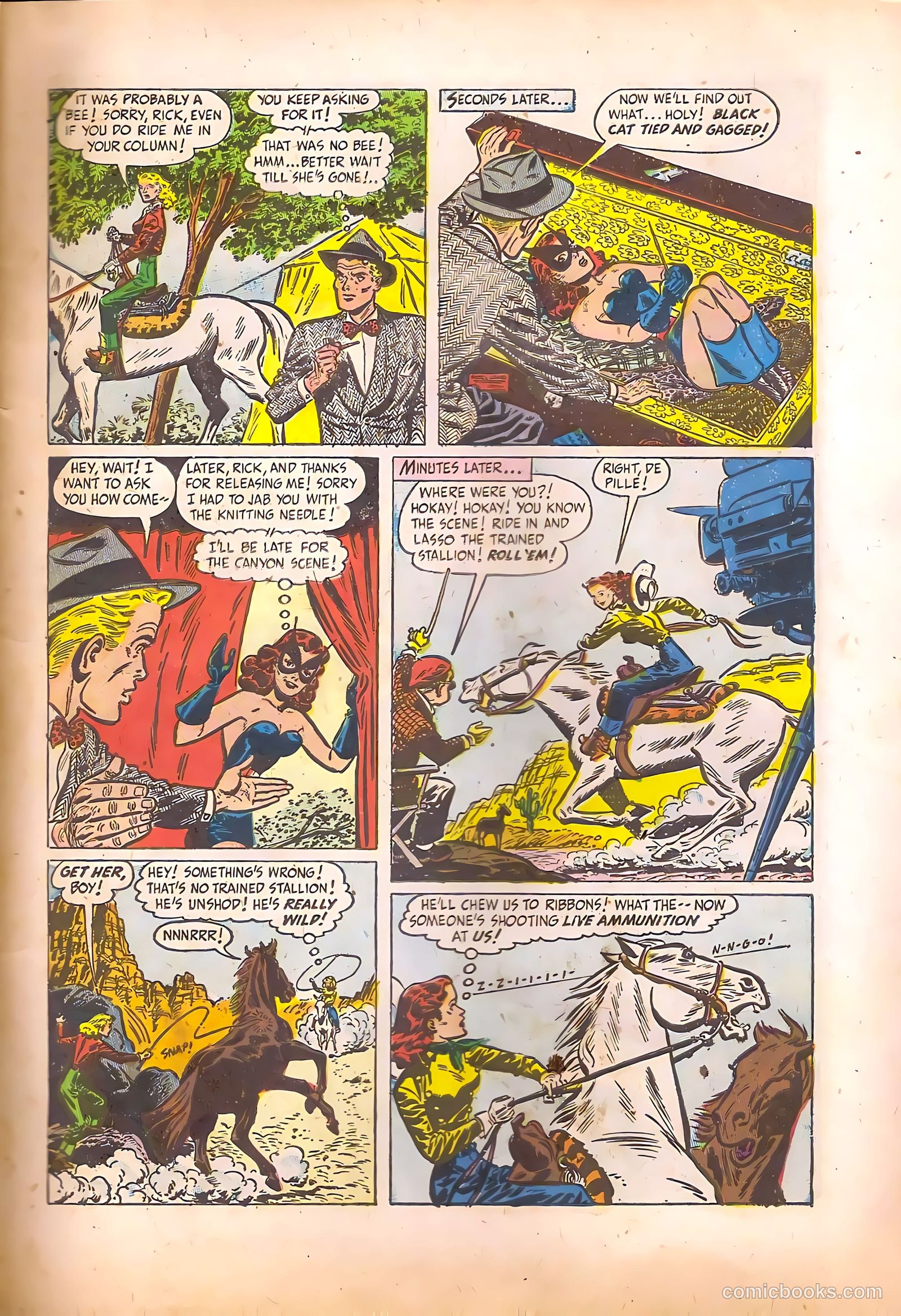 Black Cat #17 — page 11 of 52