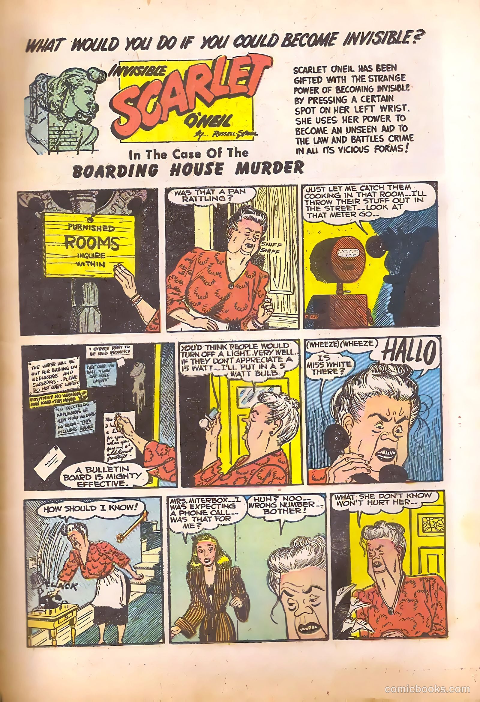 Black Cat #17 — page 15 of 52