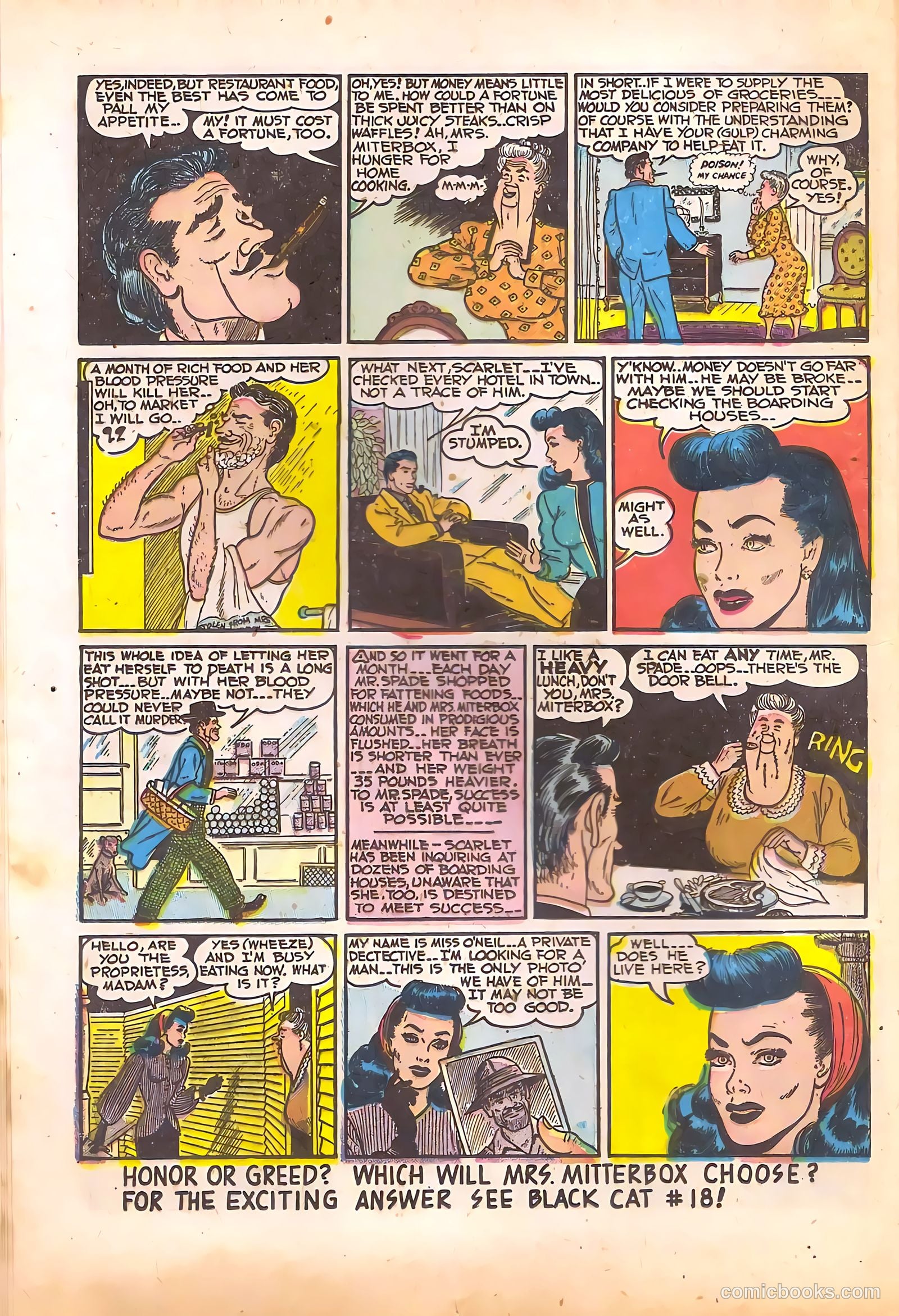 Black Cat #17 — page 22 of 52