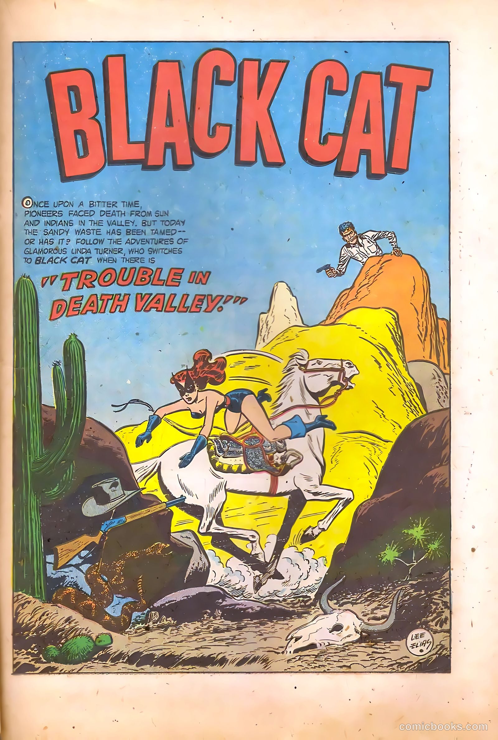 Black Cat #17 — page 29 of 52
