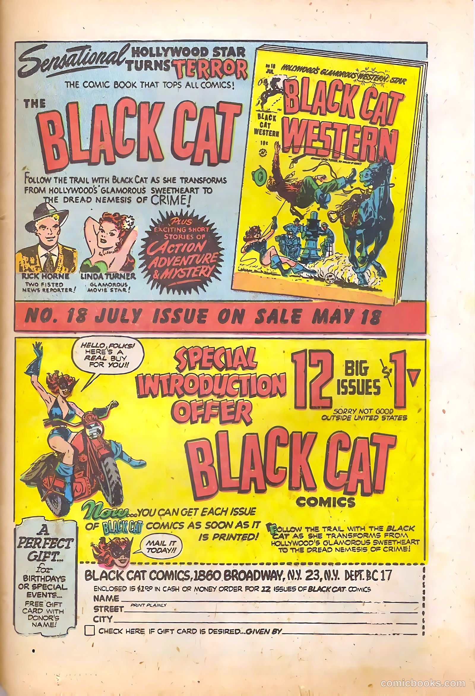Black Cat #17 — page 37 of 52