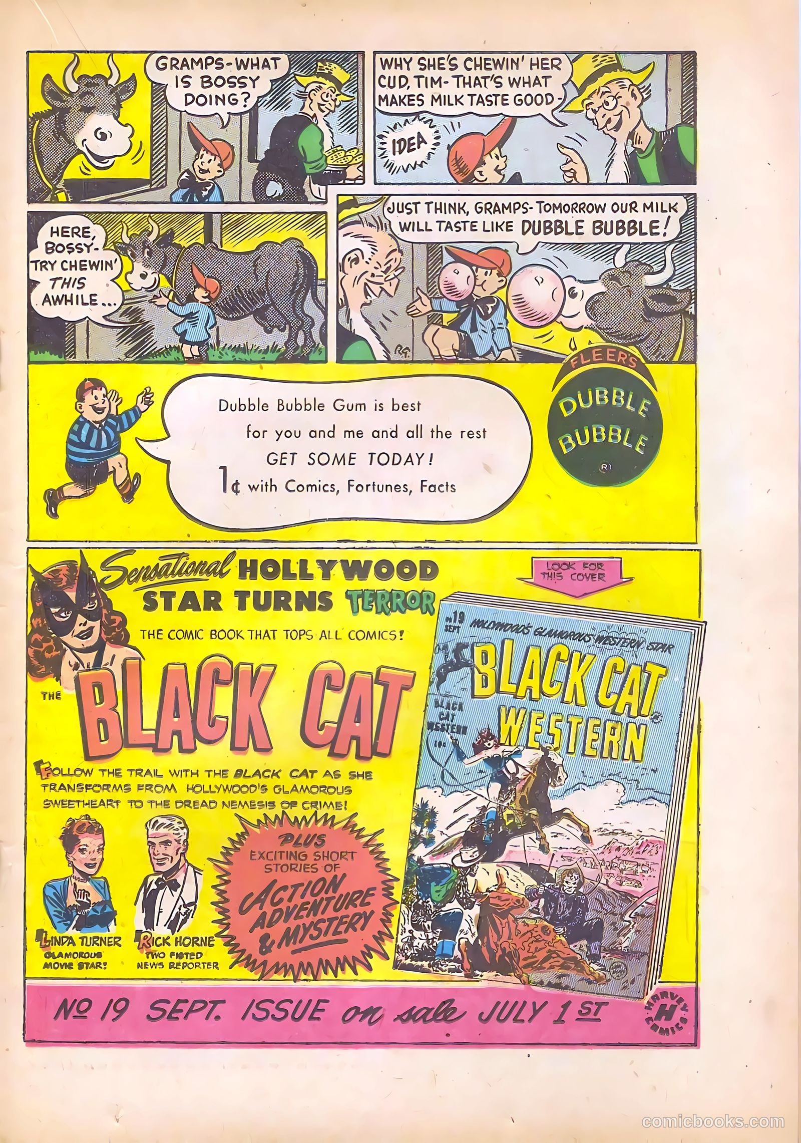 Black Cat #18 — page 19 of 36