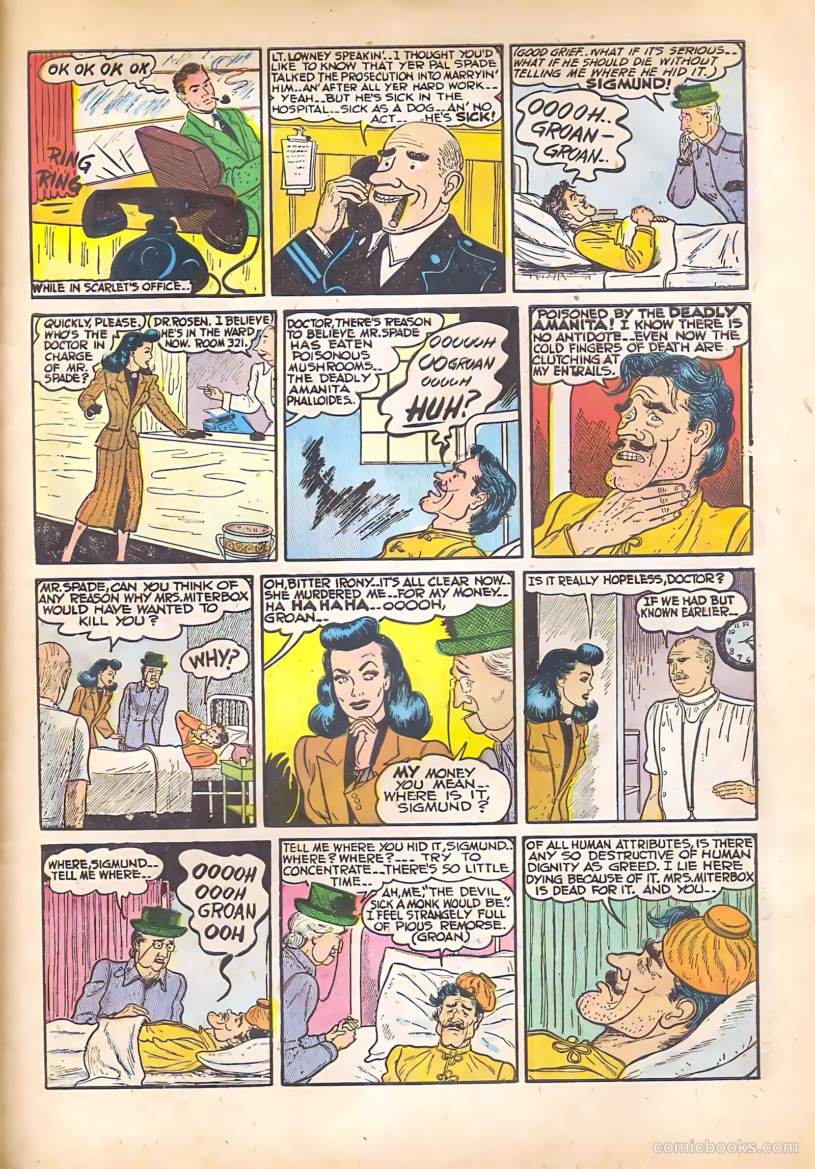Black Cat #18 — page 31 of 36