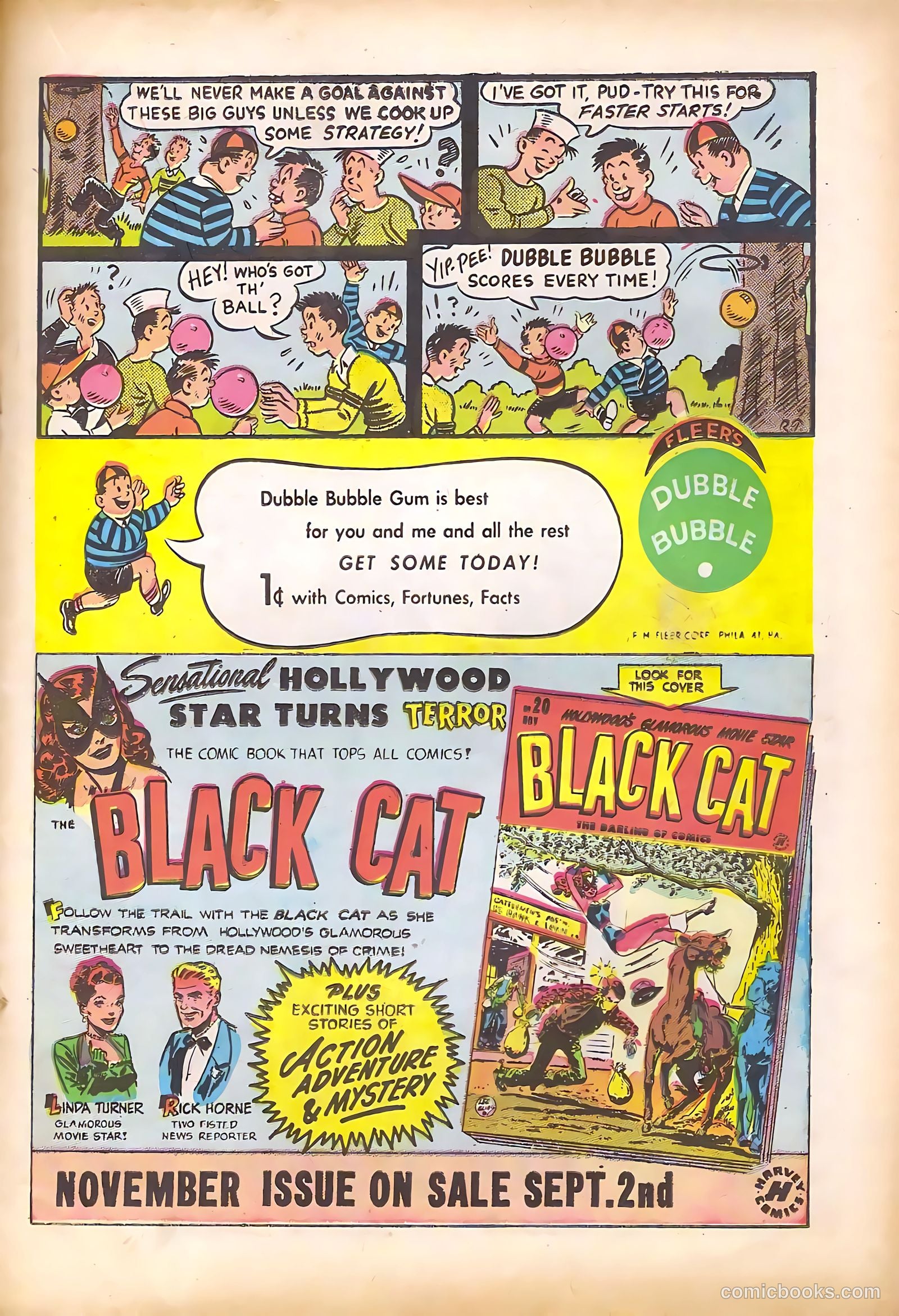 Black Cat #19 — page 19 of 36