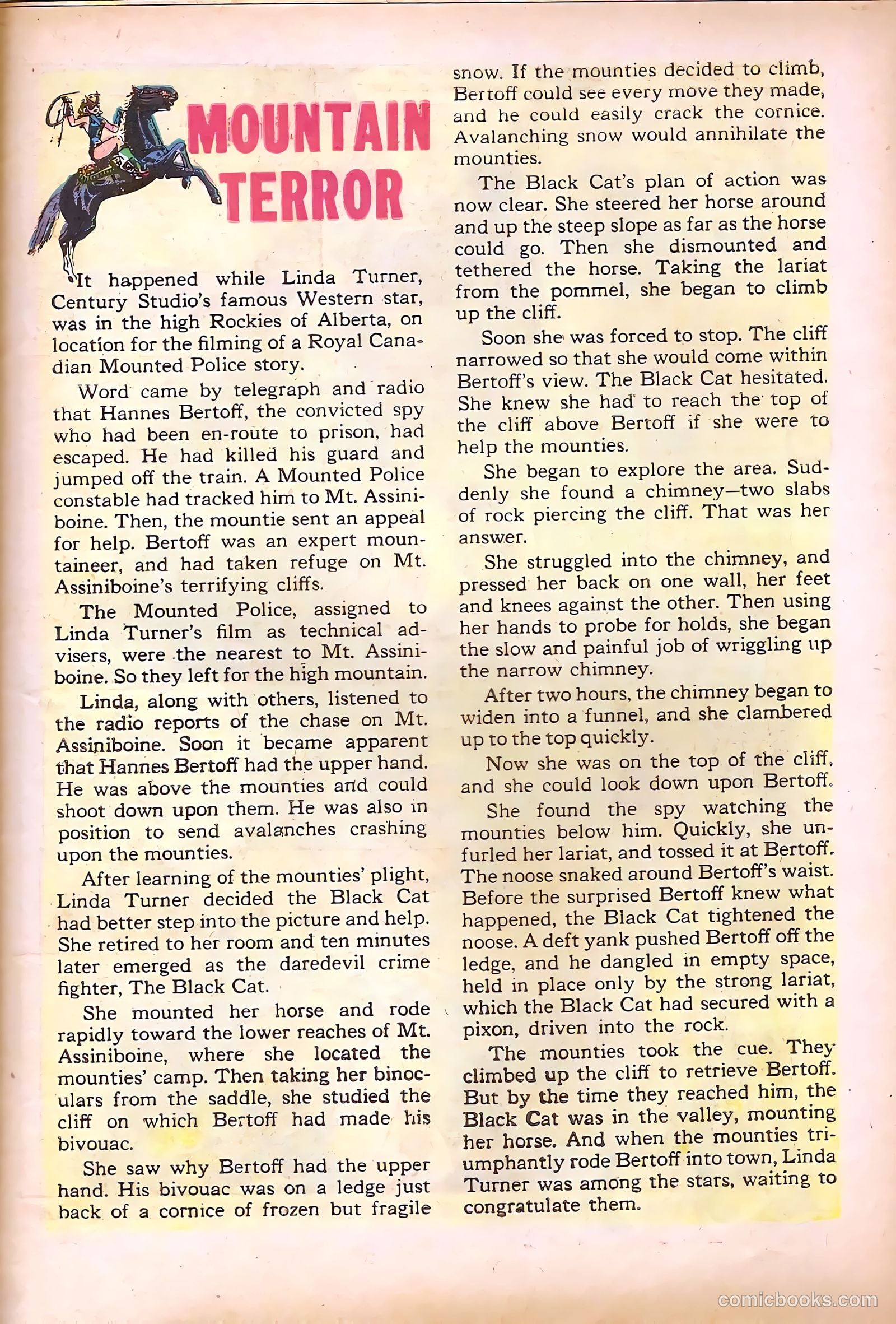 Black Cat #19 — page 31 of 36