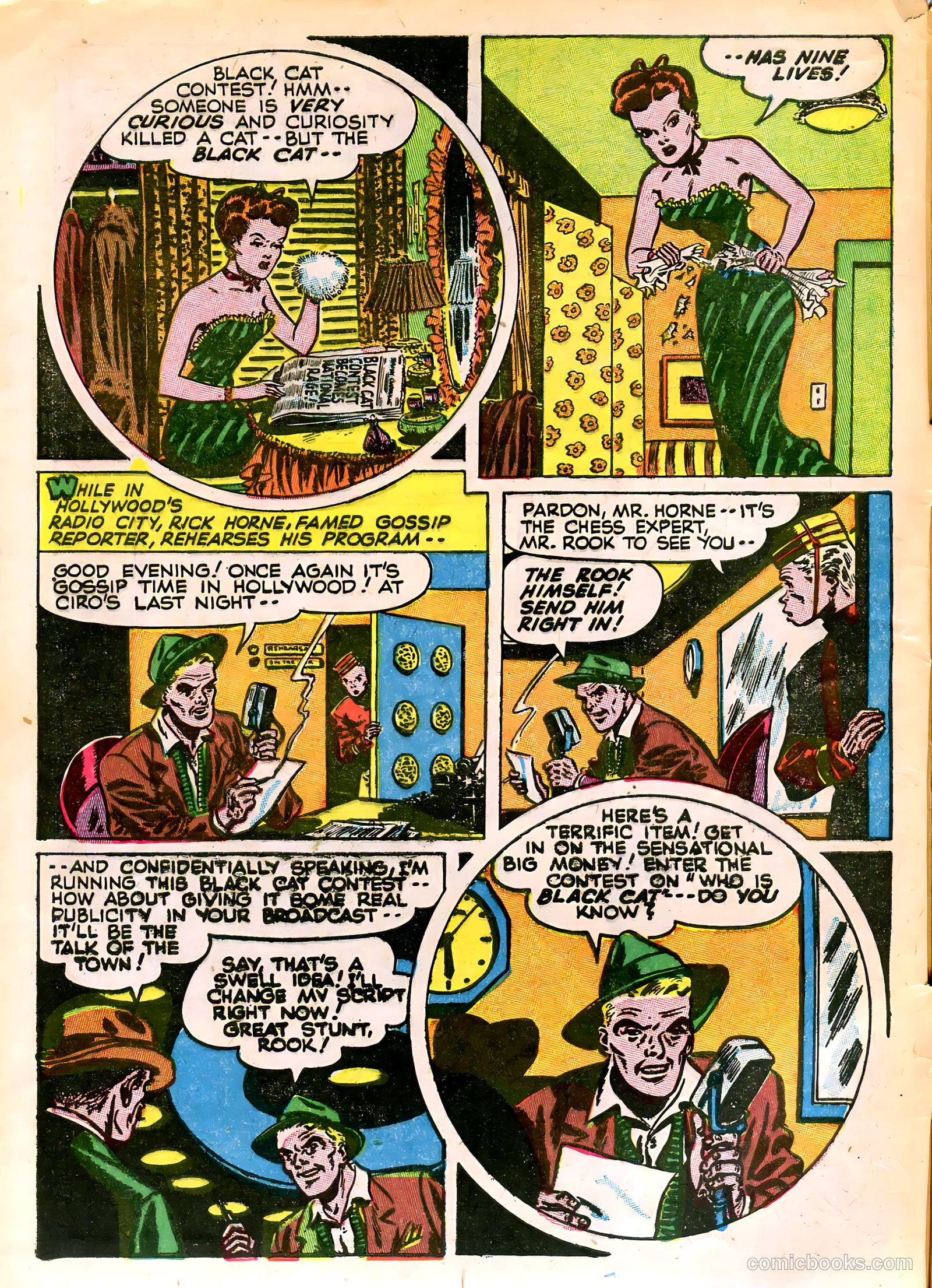 Black Cat #2 — page 6 of 52