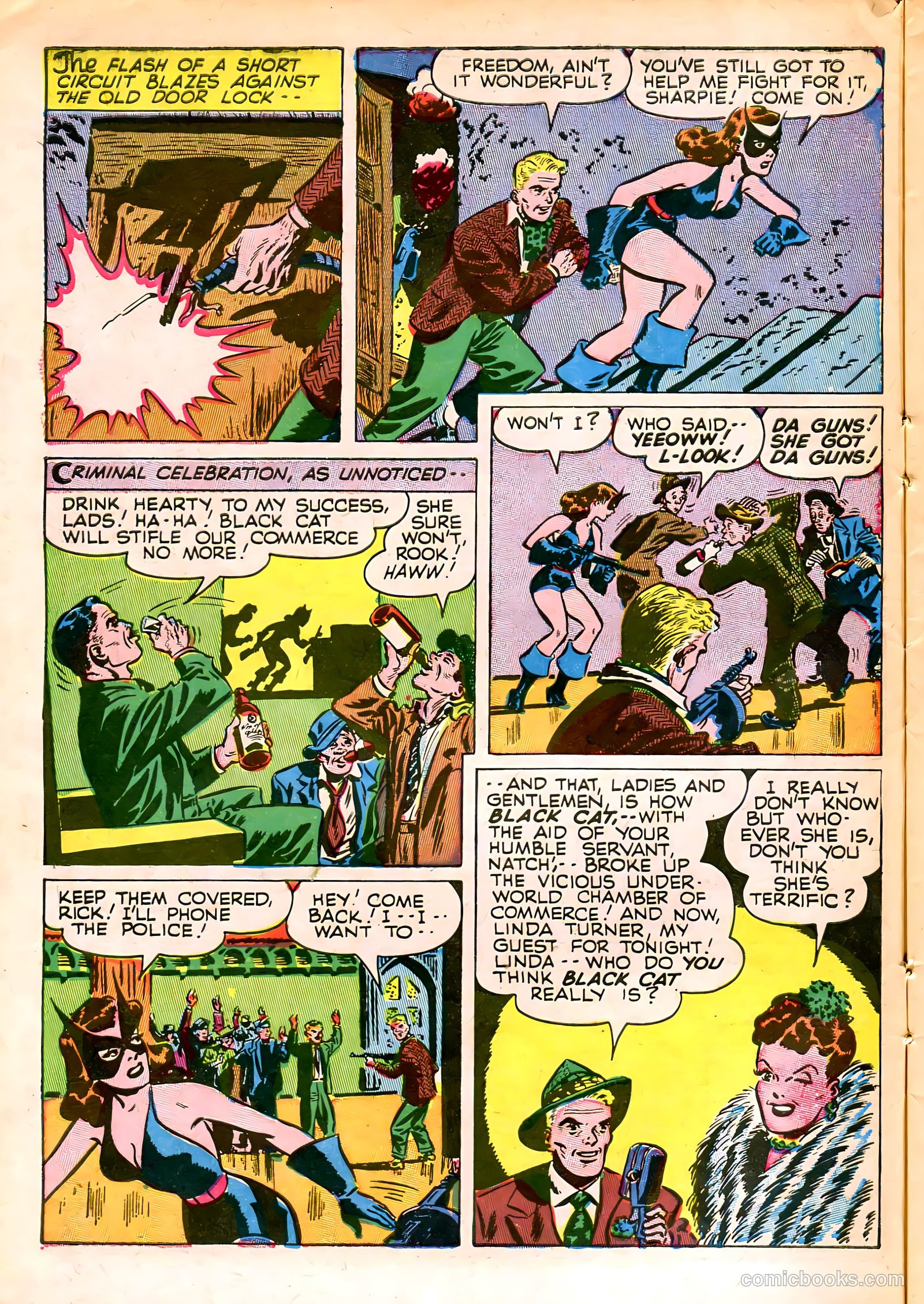 Black Cat #2 — page 14 of 52