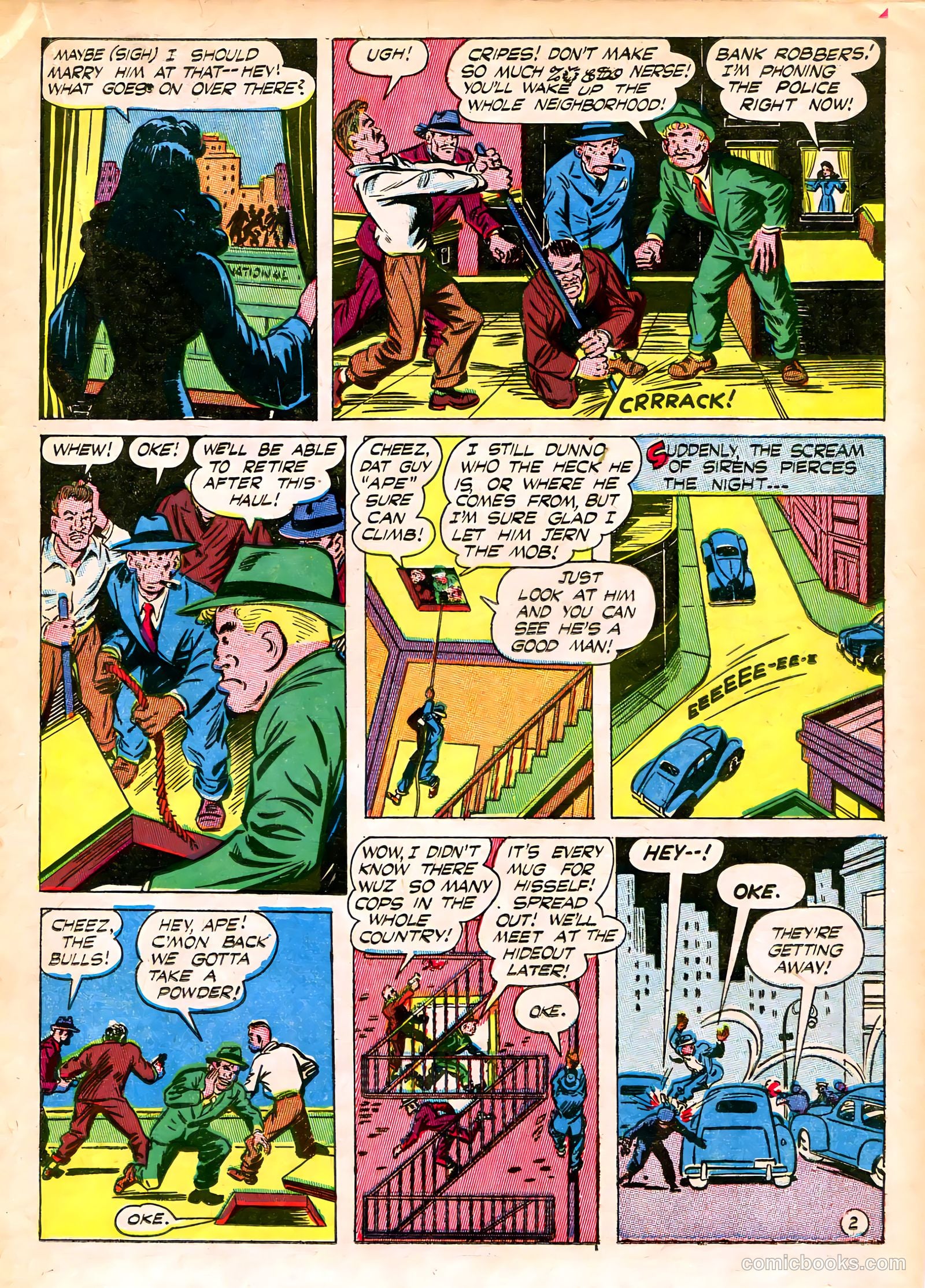 Black Cat #2 — page 25 of 52