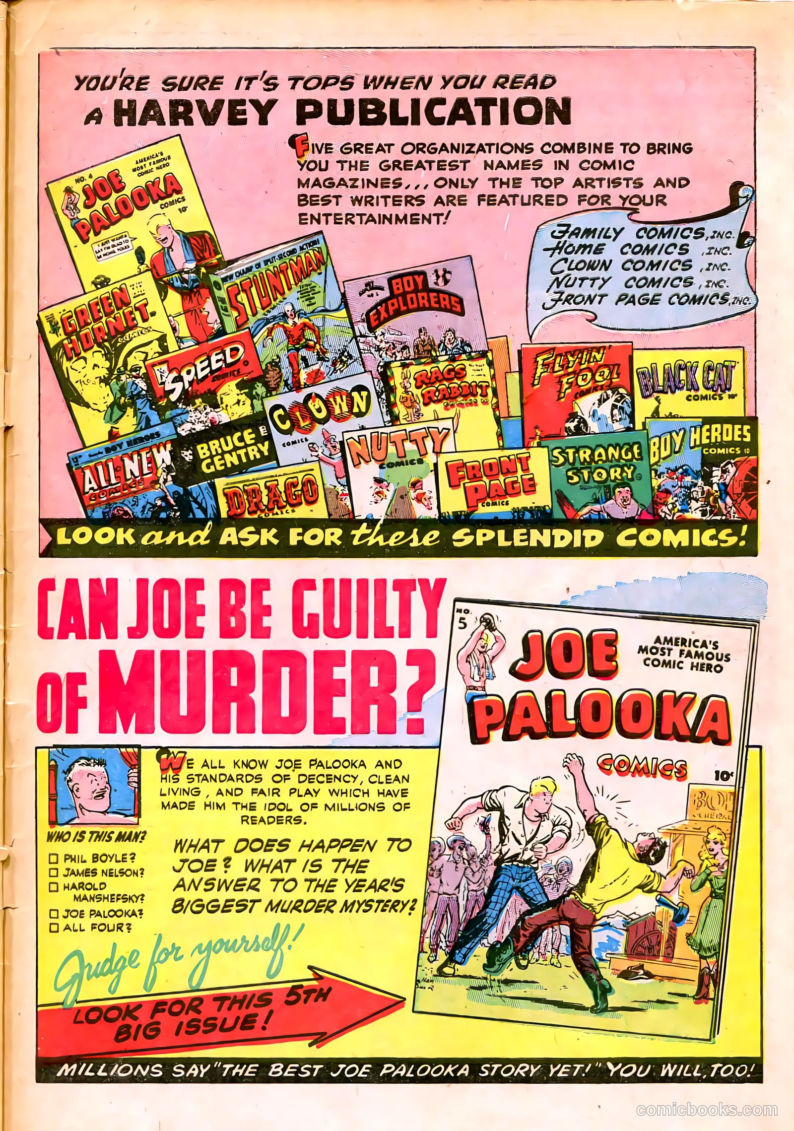 Black Cat #2 — page 49 of 52