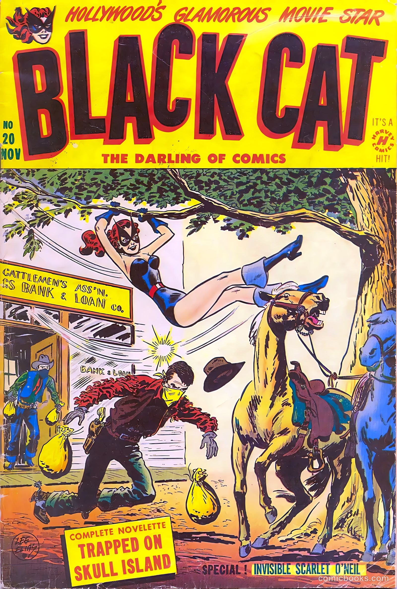 Black Cat #20 — page 1 of 36