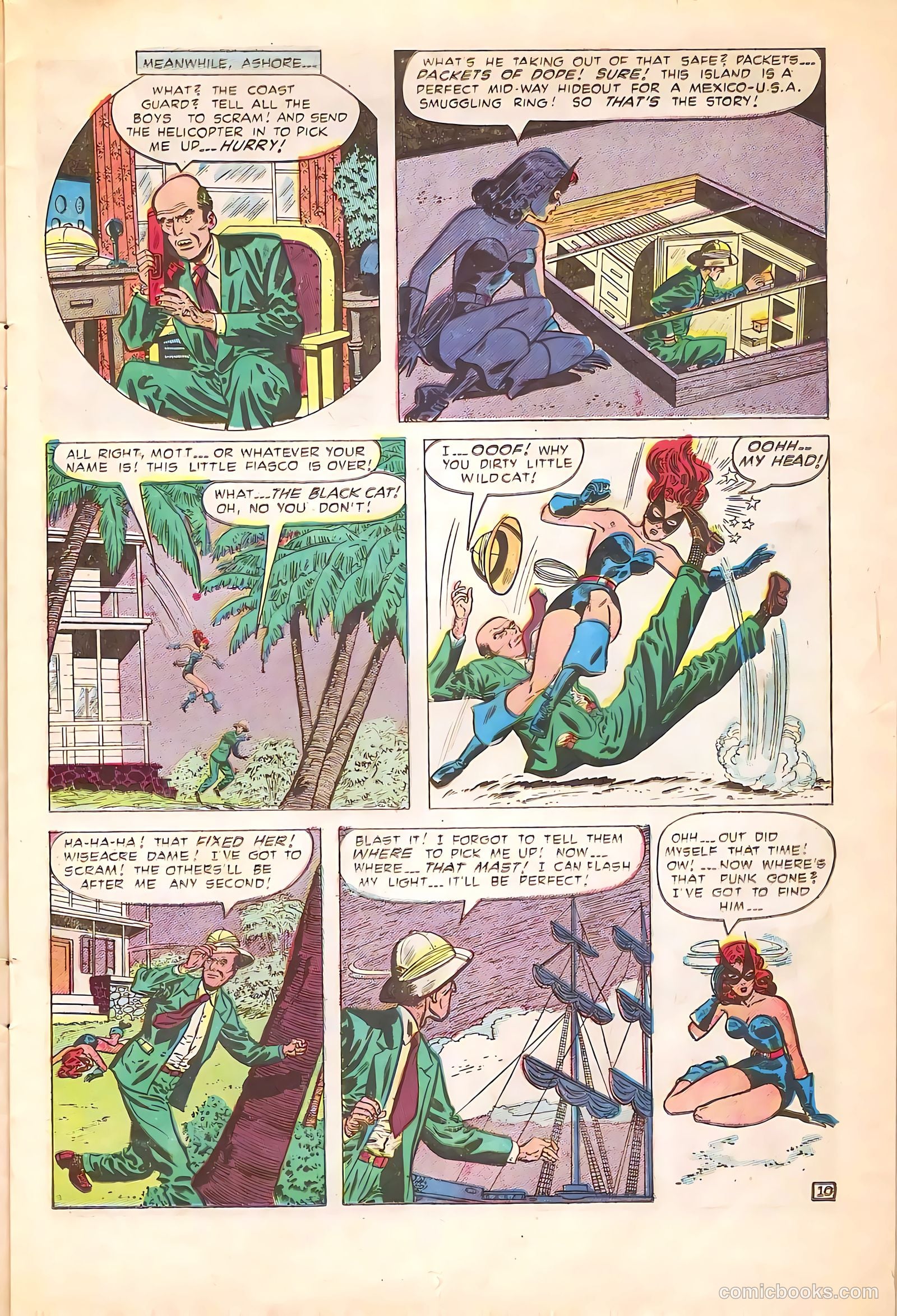 Black Cat #20 — page 13 of 36