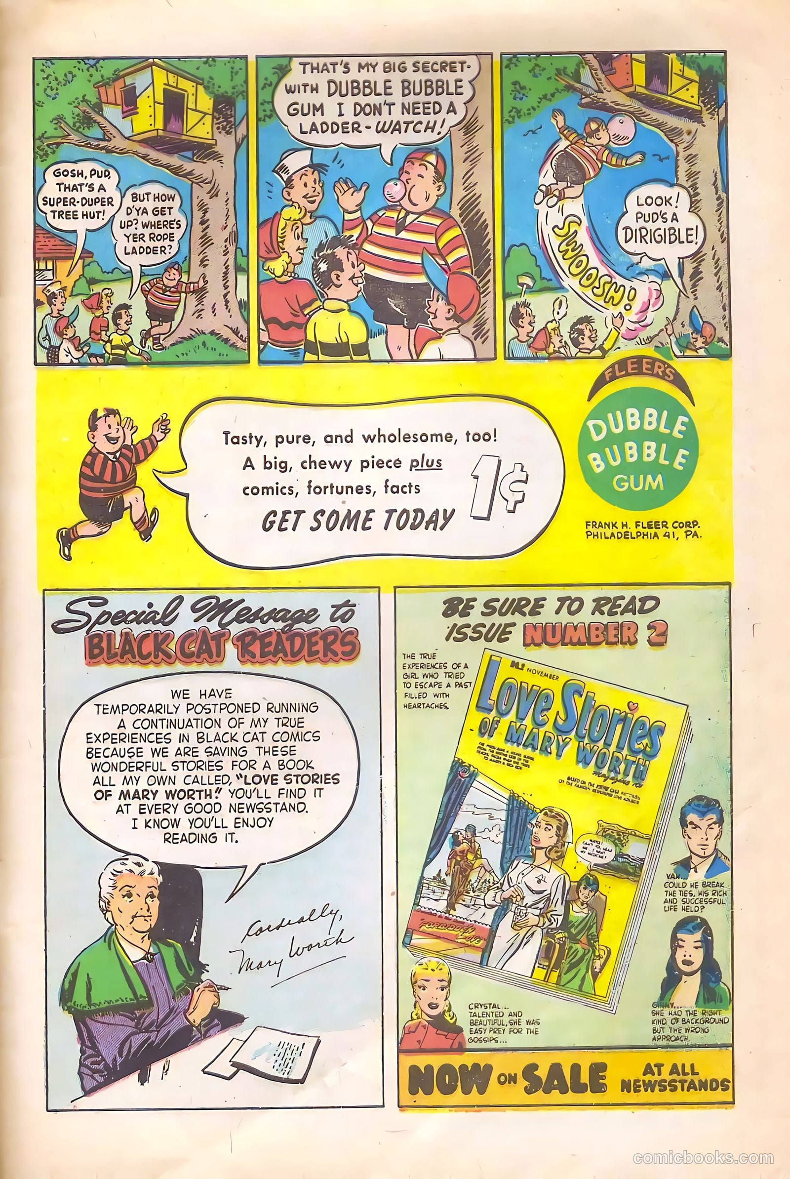 Black Cat #20 — page 31 of 36