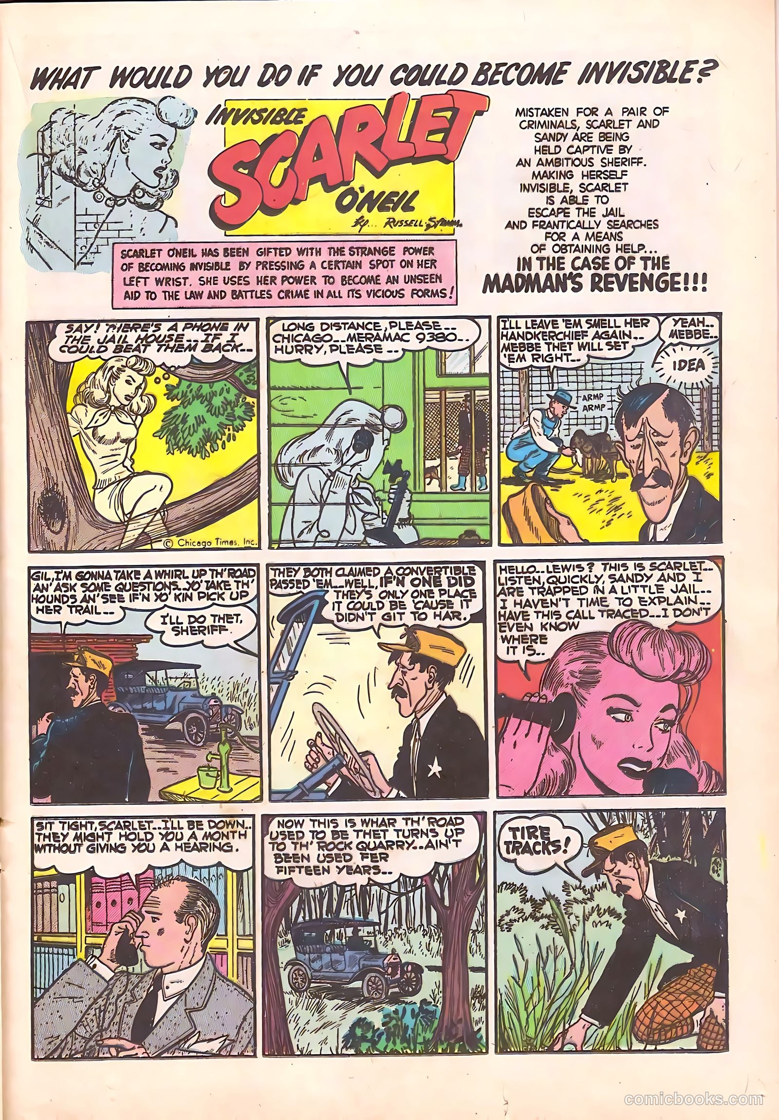 Black Cat #21 — page 21 of 36
