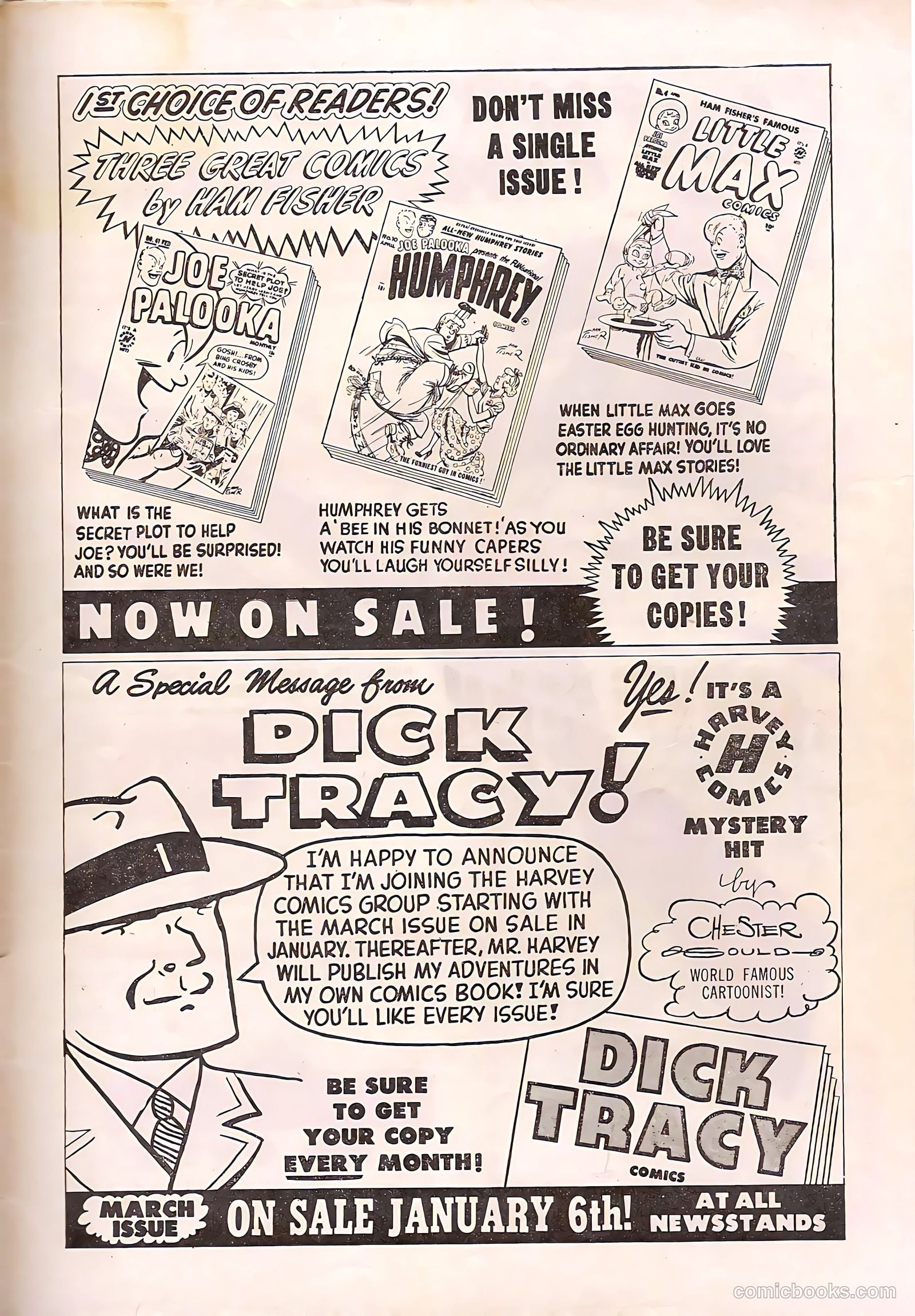 Black Cat #21 — page 35 of 36