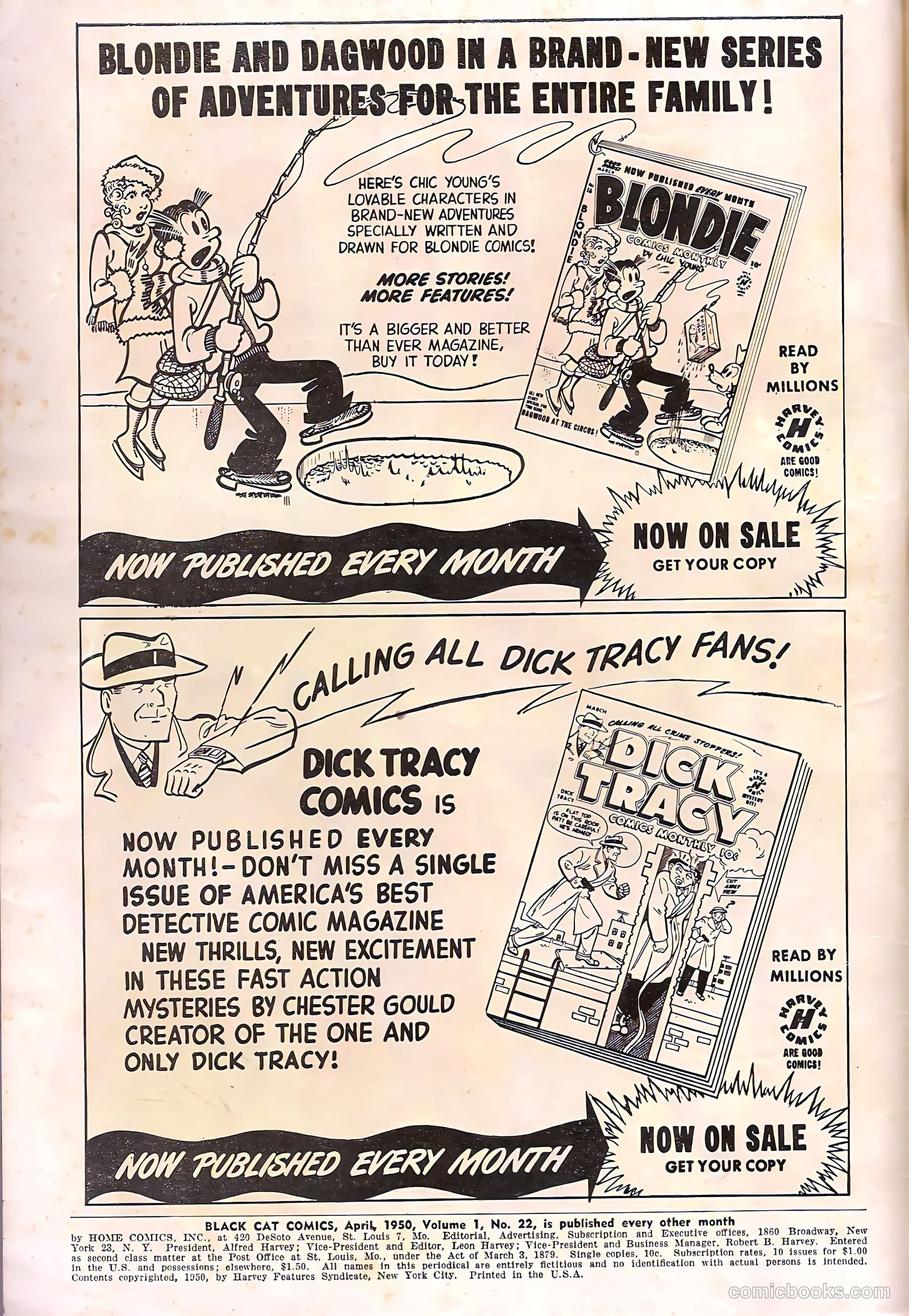 Black Cat #22 — page 2 of 36