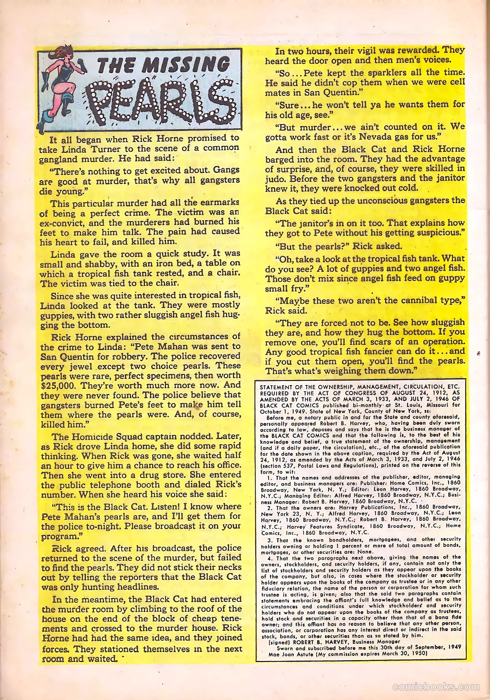 Black Cat #22 — page 32 of 36