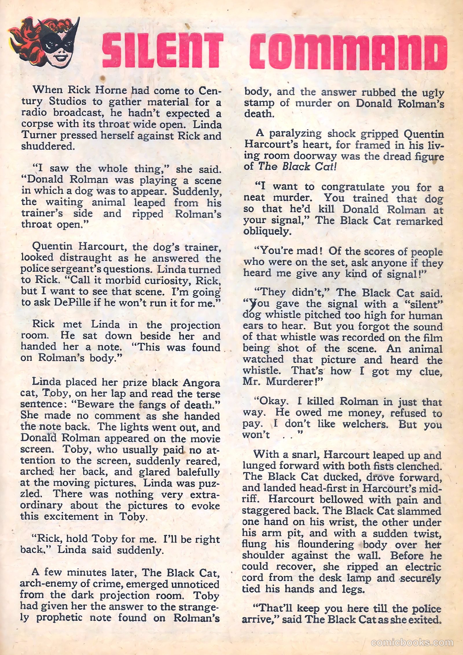 Black Cat #3 — page 41 of 52