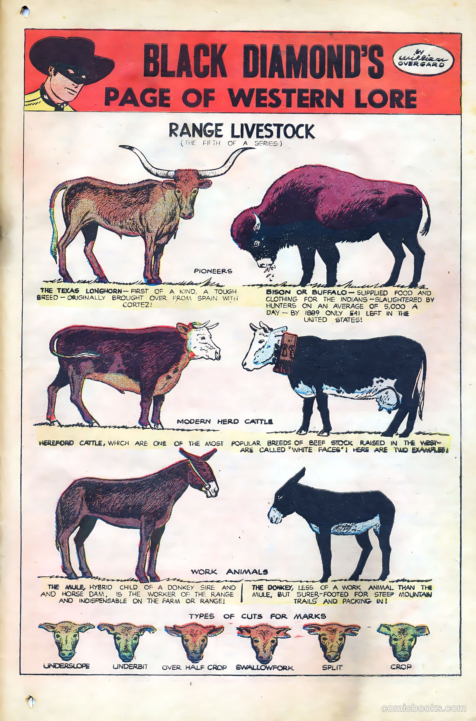 Black Diamond Western #19 — page 42 of 51