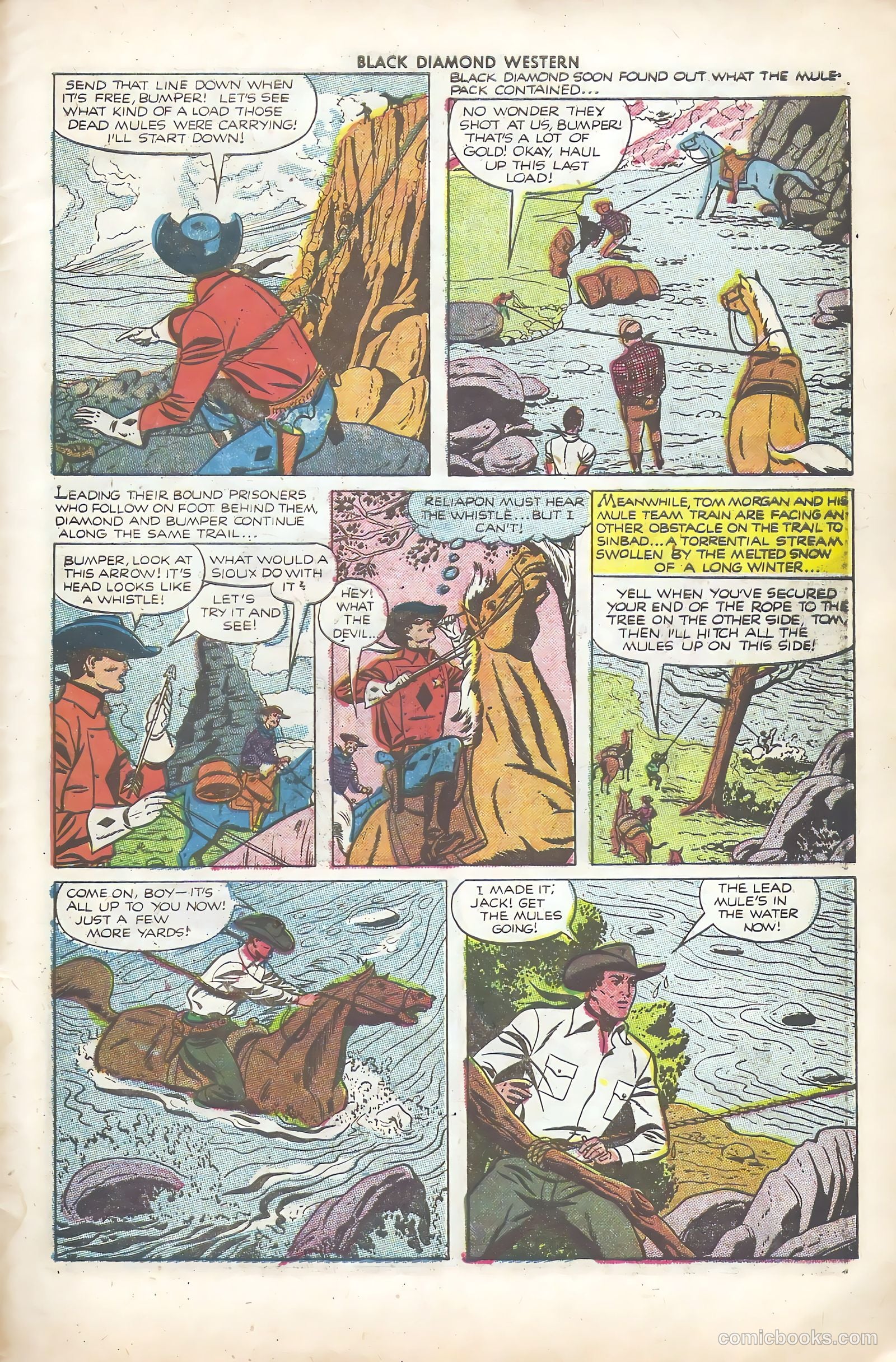 Black Diamond Western #33 — page 29 of 36
