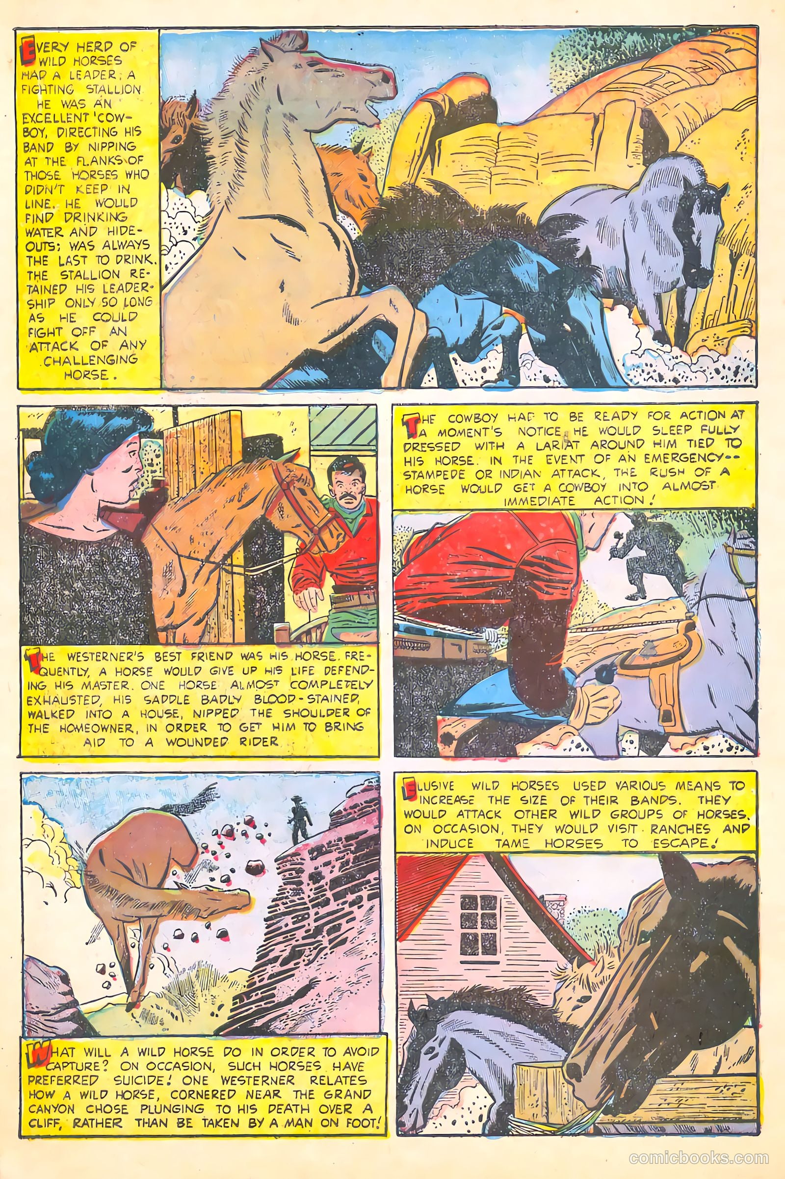 Black Diamond Western #55 — page 32 of 36