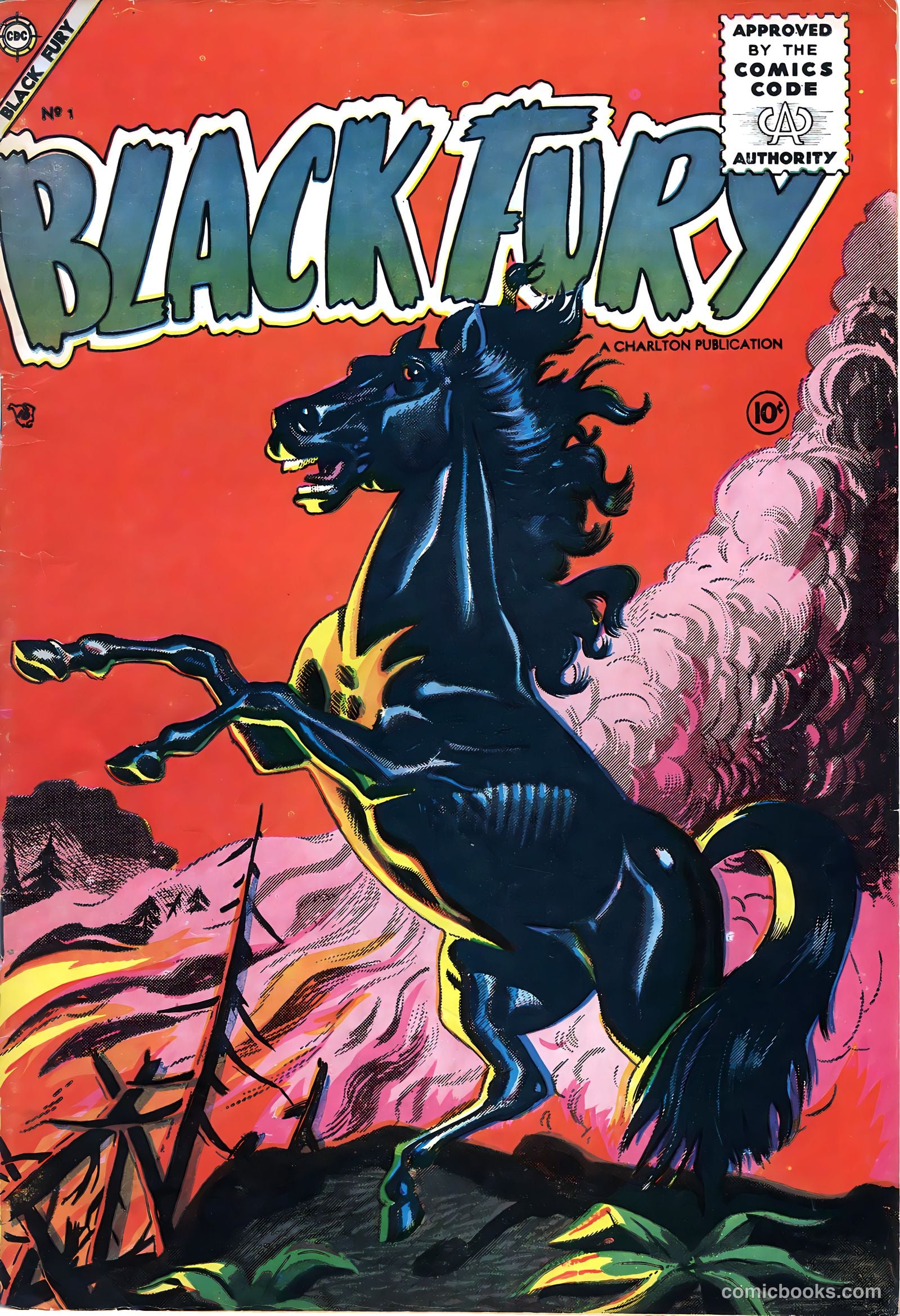 Black Fury #1 — page 1 of 36