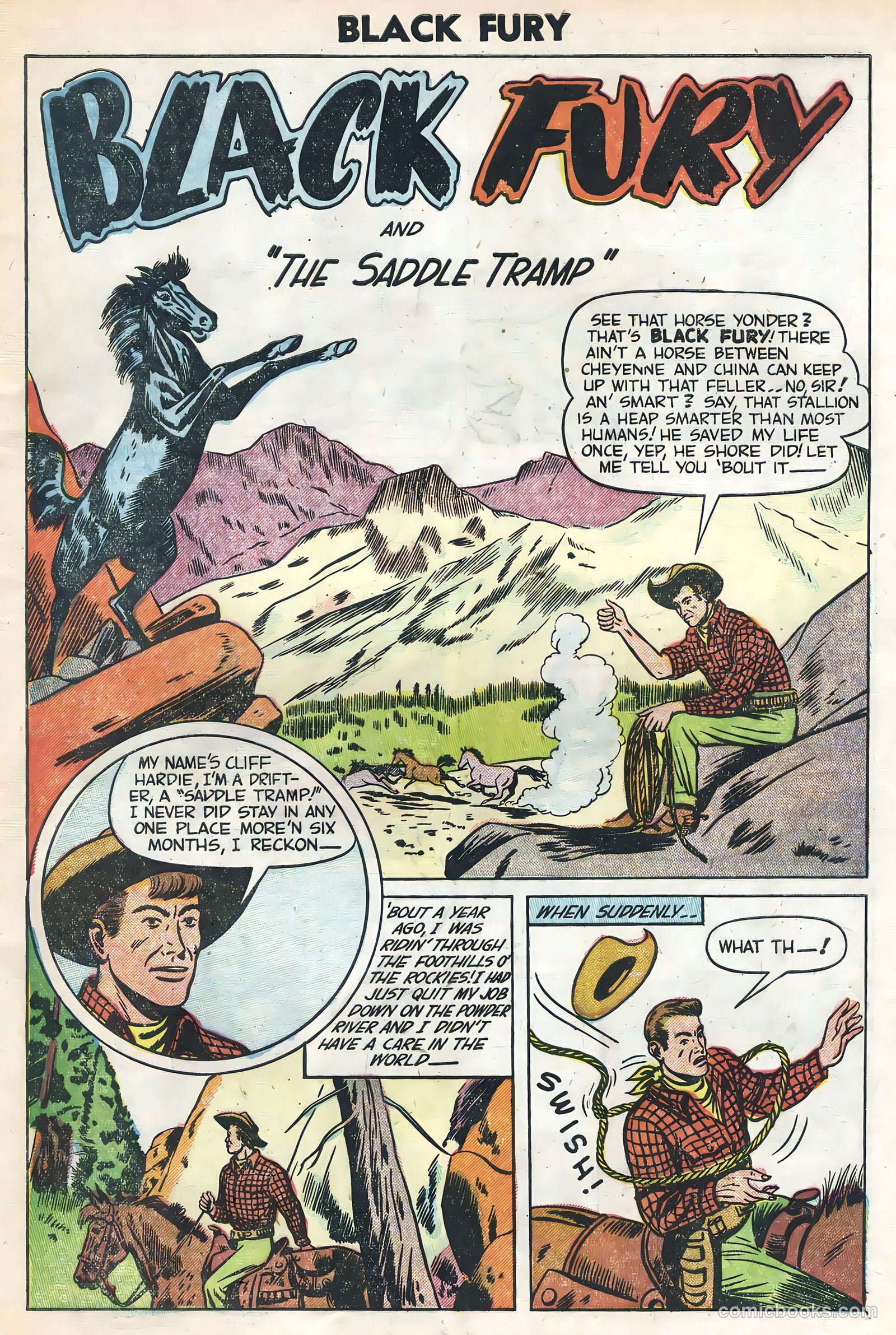 Black Fury #1 — page 3 of 36
