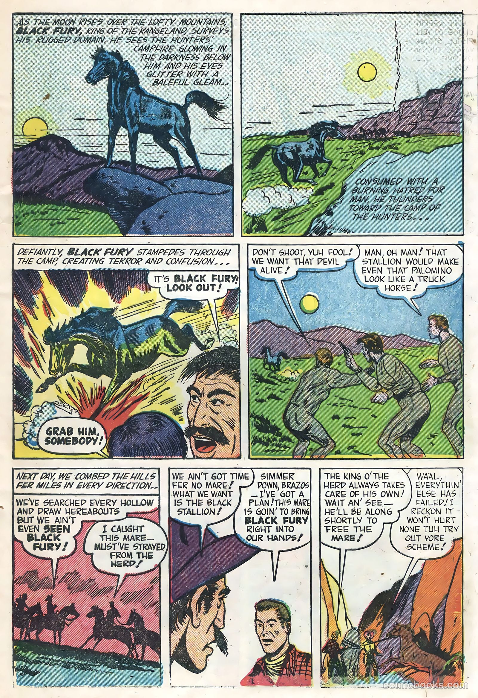 Black Fury #1 — page 9 of 36