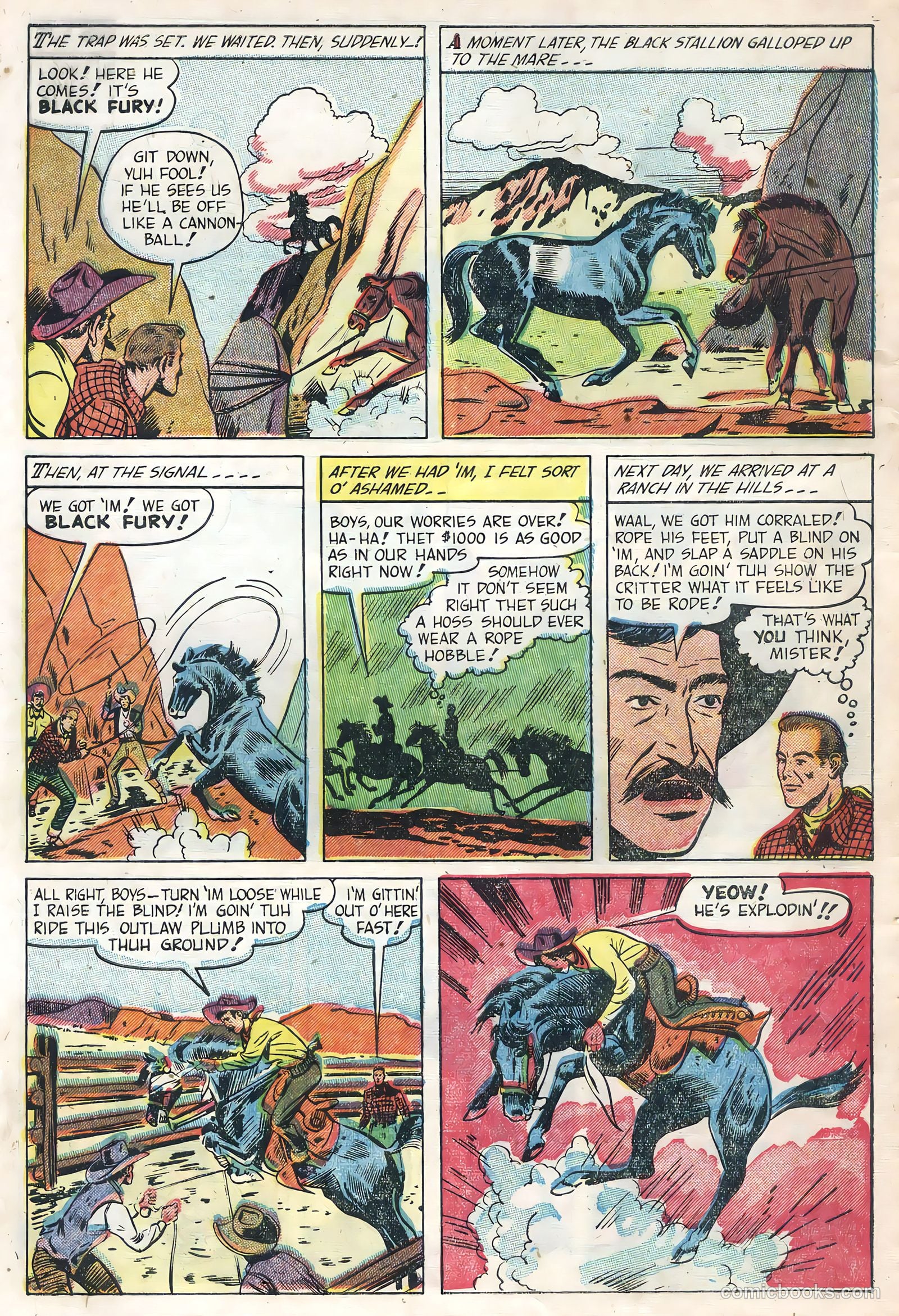 Black Fury #1 — page 10 of 36