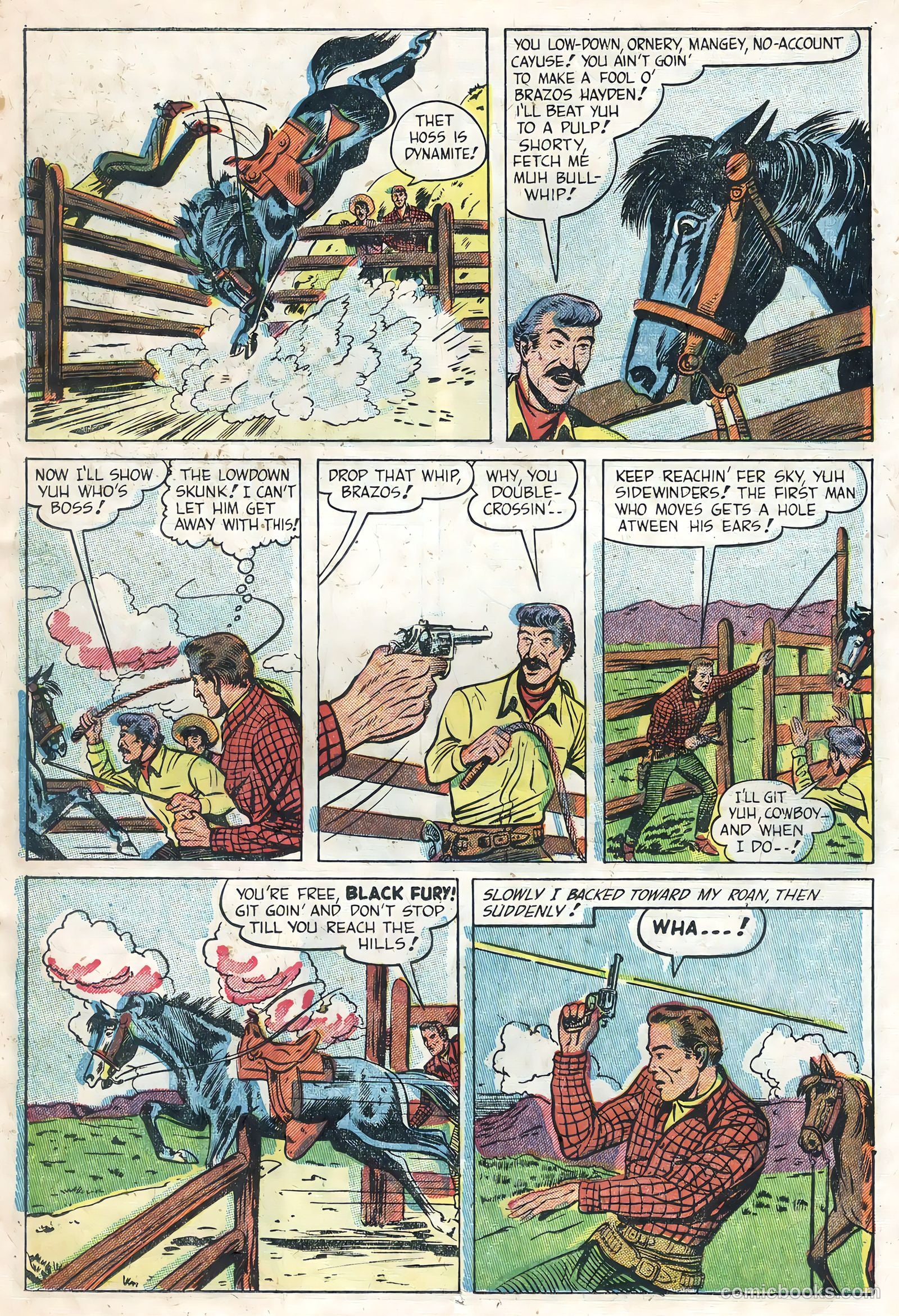 Black Fury #1 — page 11 of 36