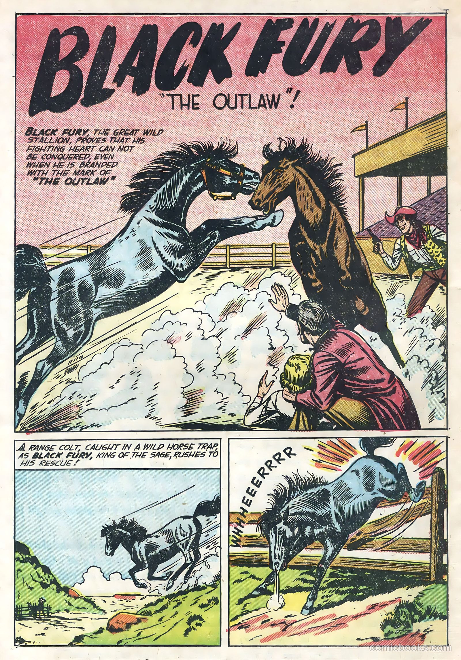 Black Fury #1 — page 18 of 36