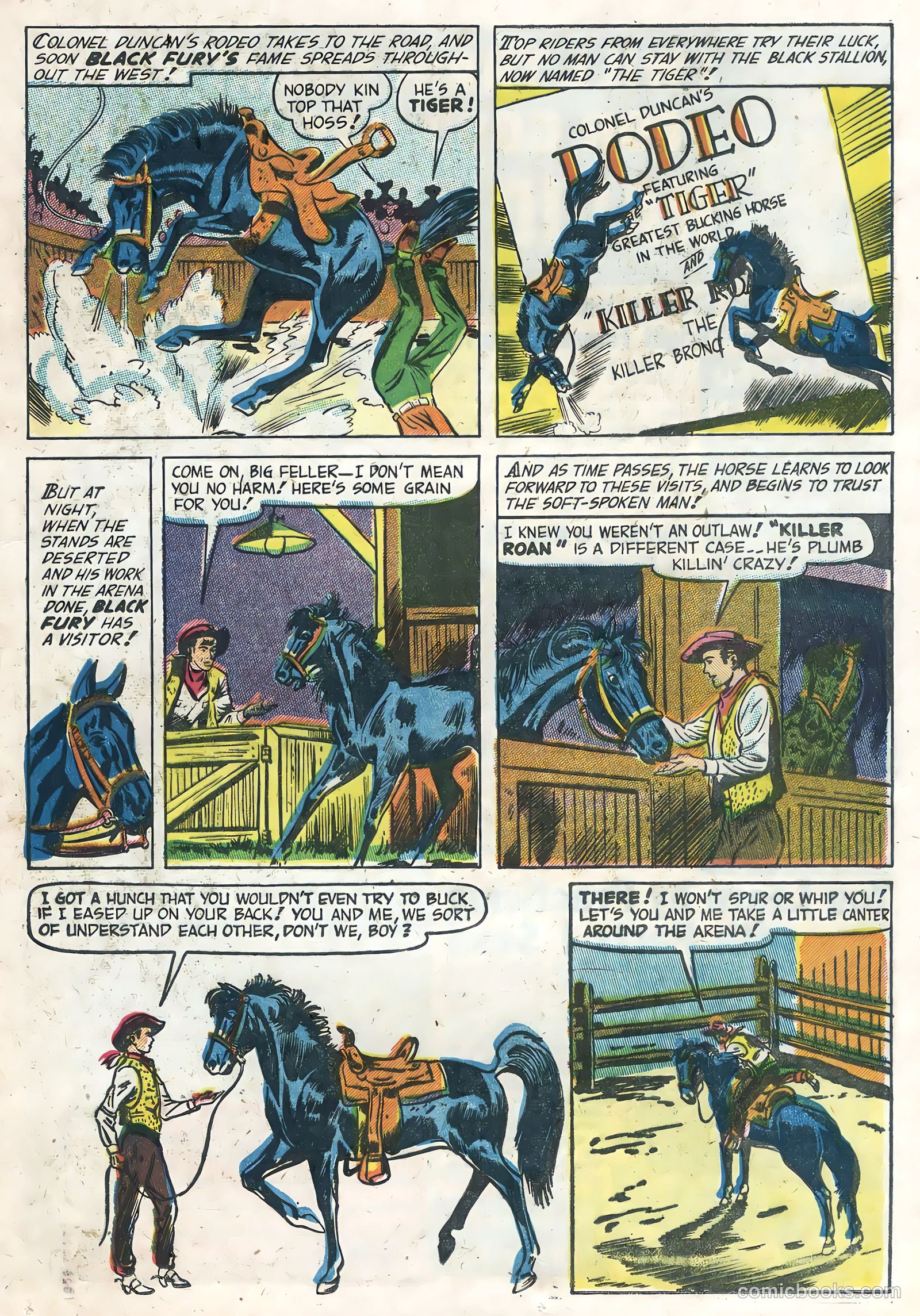 Black Fury #1 — page 21 of 36