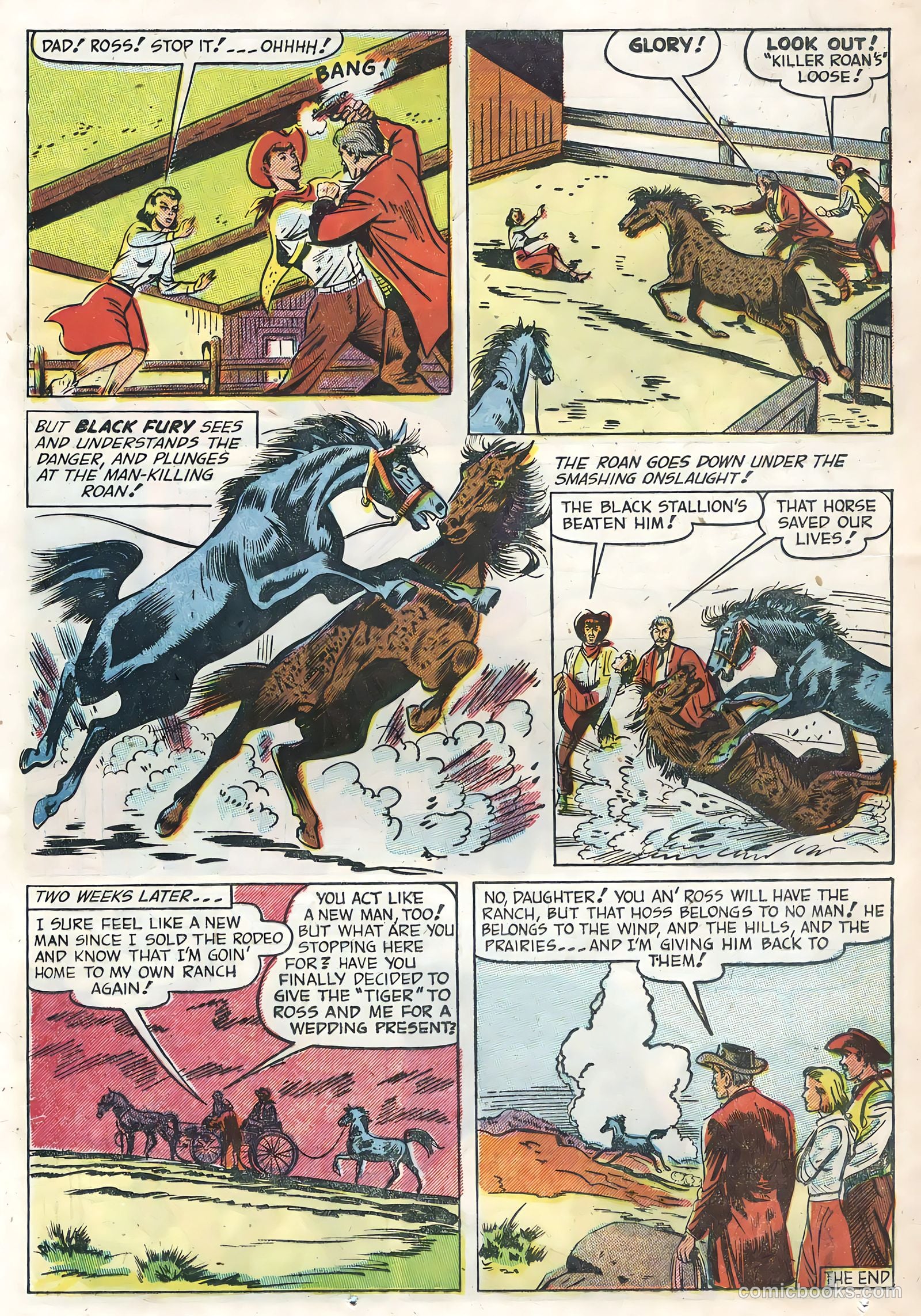 Black Fury #1 — page 24 of 36