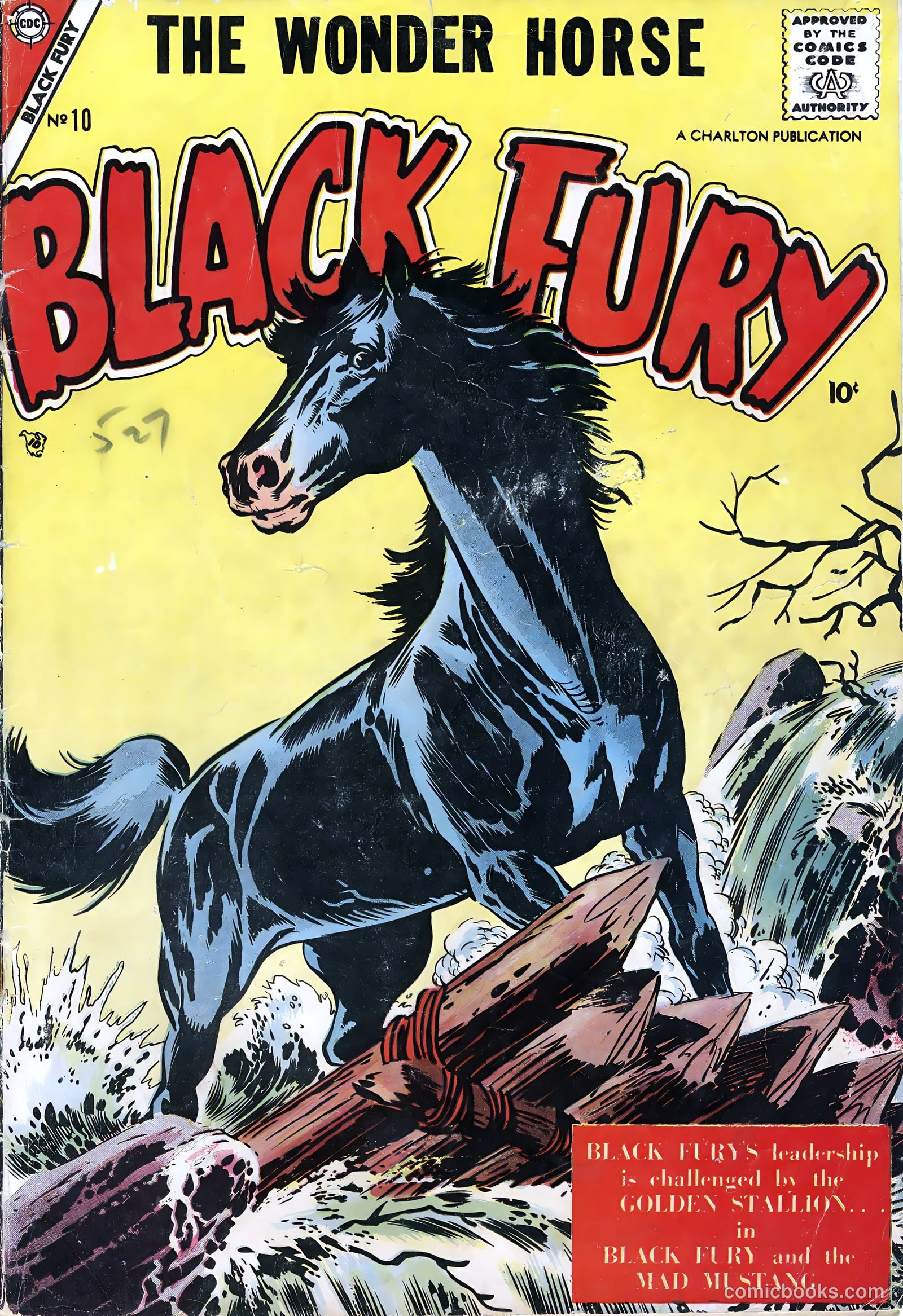 Black Fury #10 — page 1 of 36