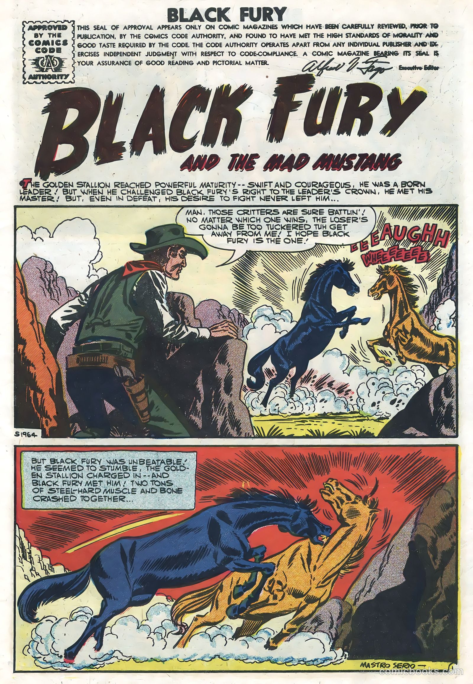 Black Fury #10 — page 3 of 36