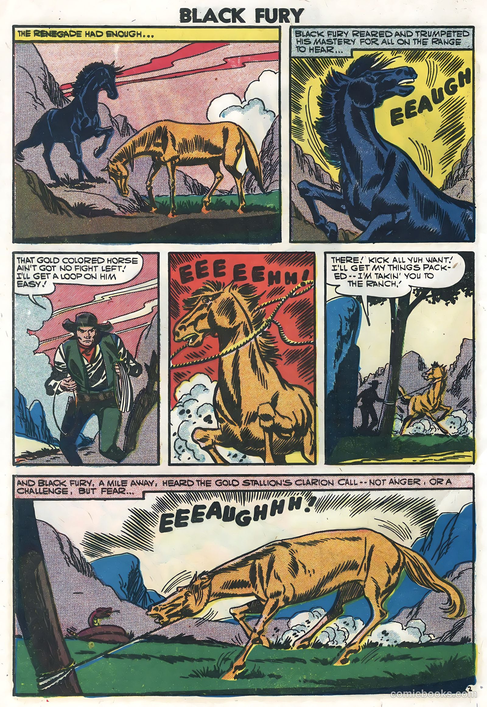 Black Fury #10 — page 4 of 36