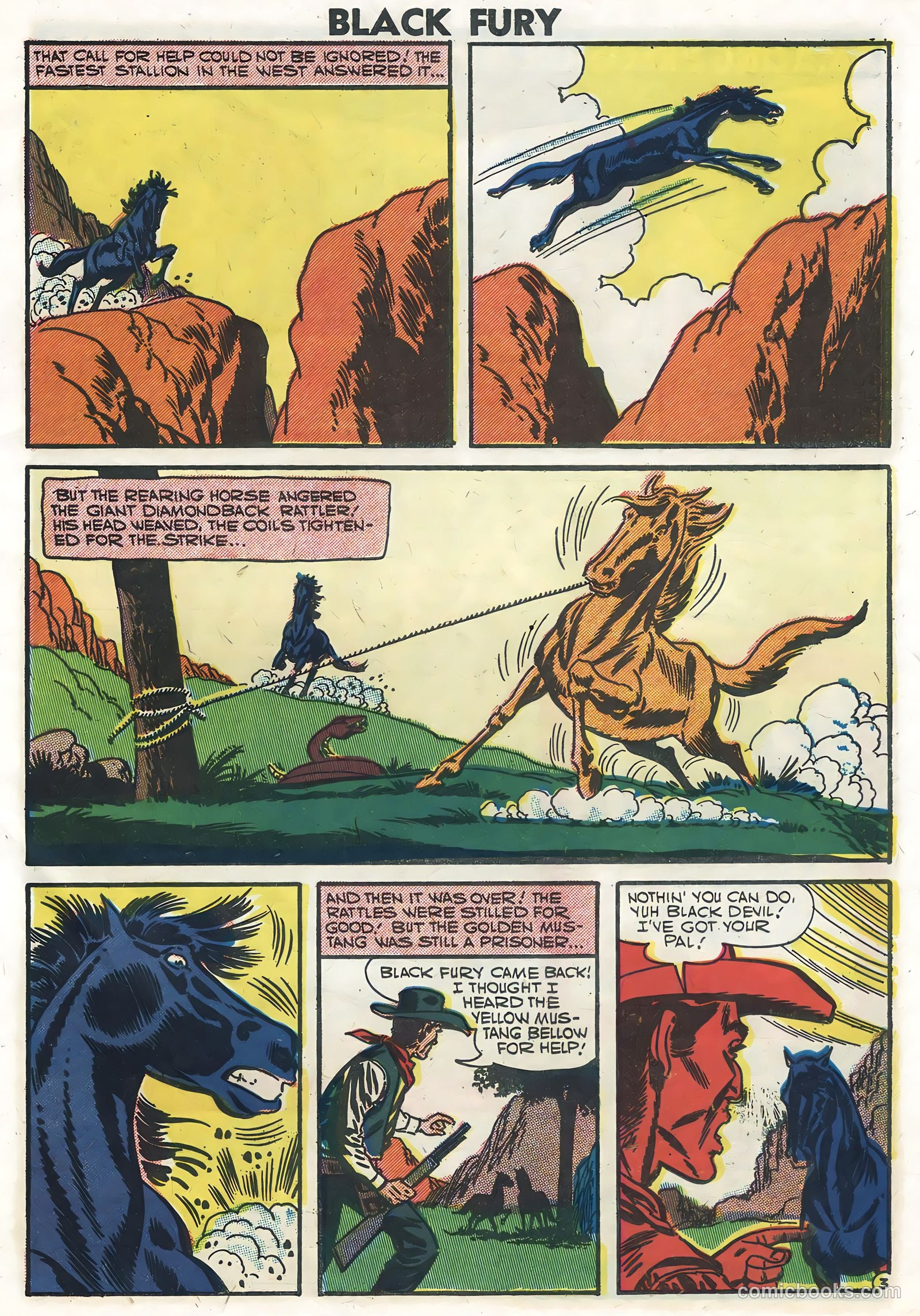 Black Fury #10 — page 5 of 36