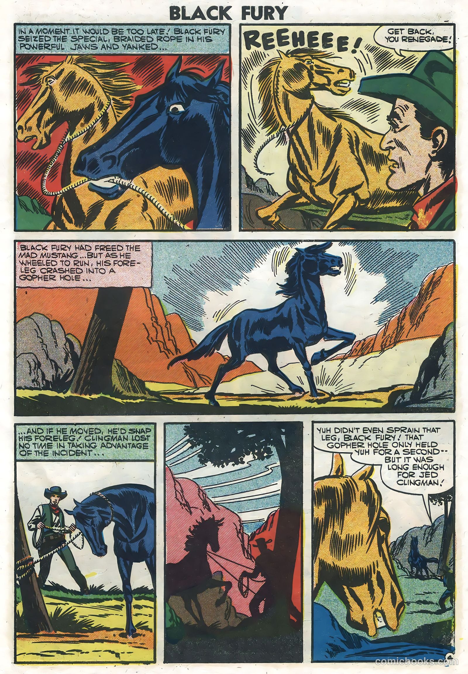 Black Fury #10 — page 7 of 36
