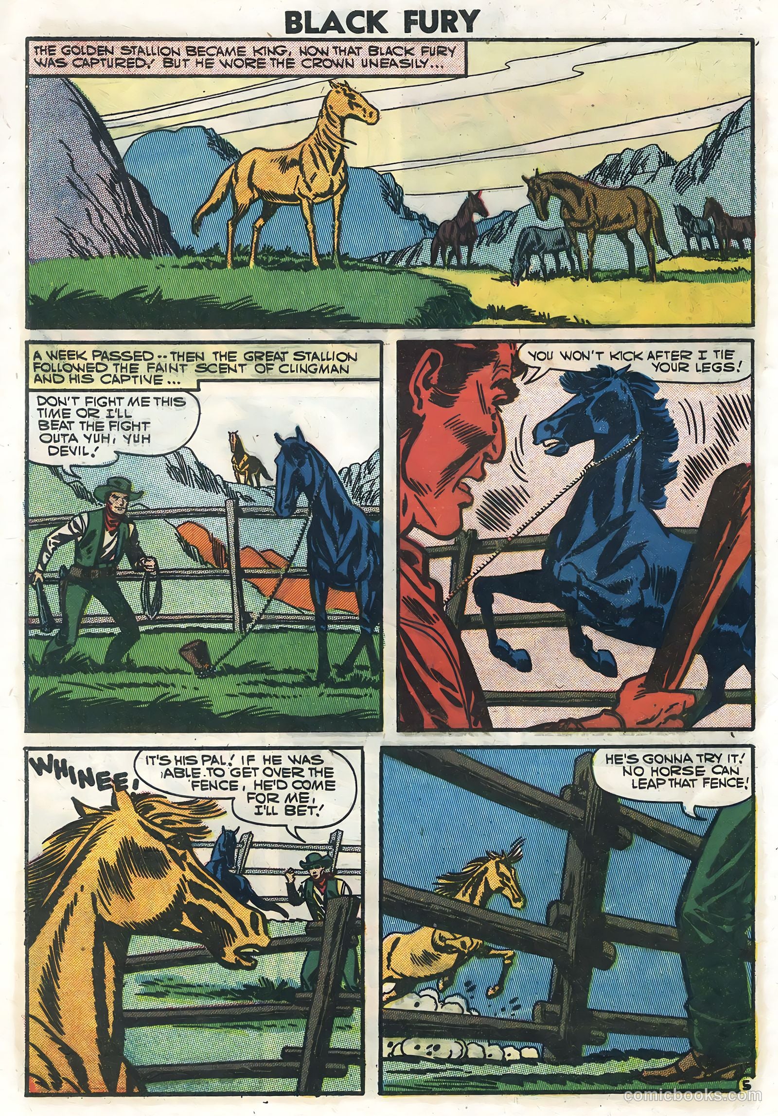 Black Fury #10 — page 8 of 36