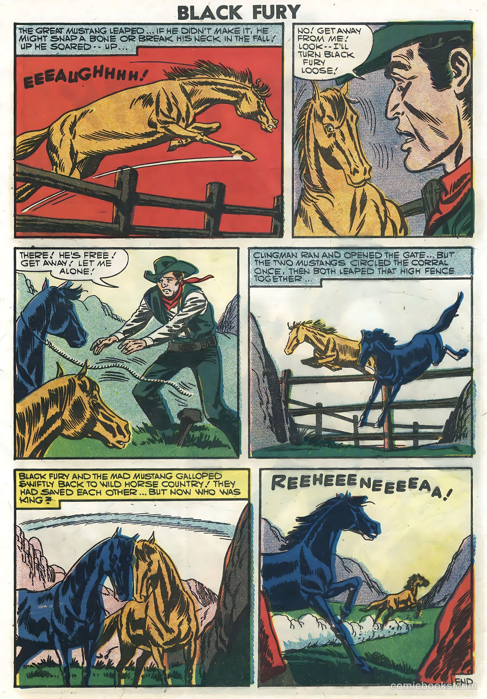Black Fury #10 — page 9 of 36