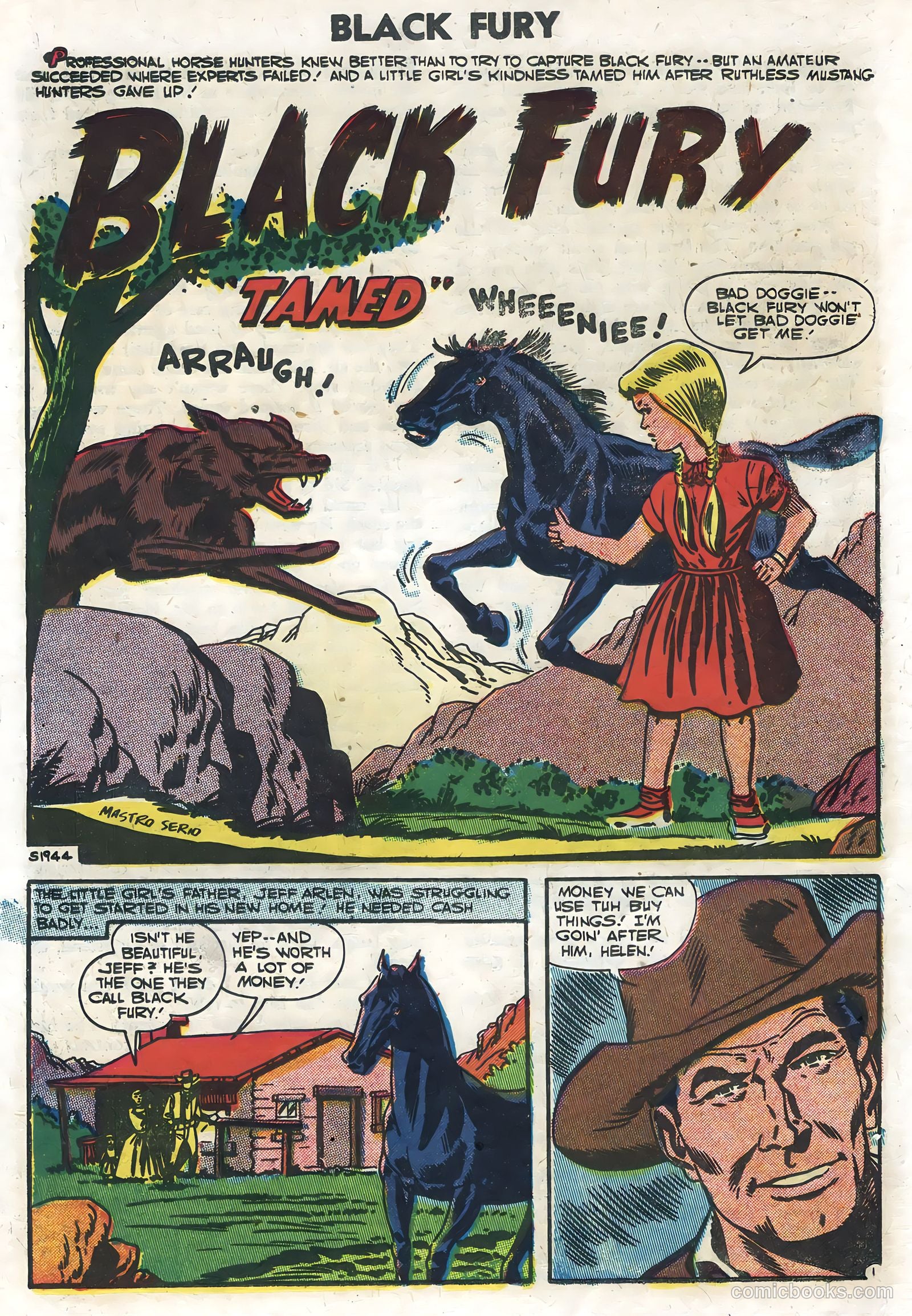 Black Fury #10 — page 18 of 36