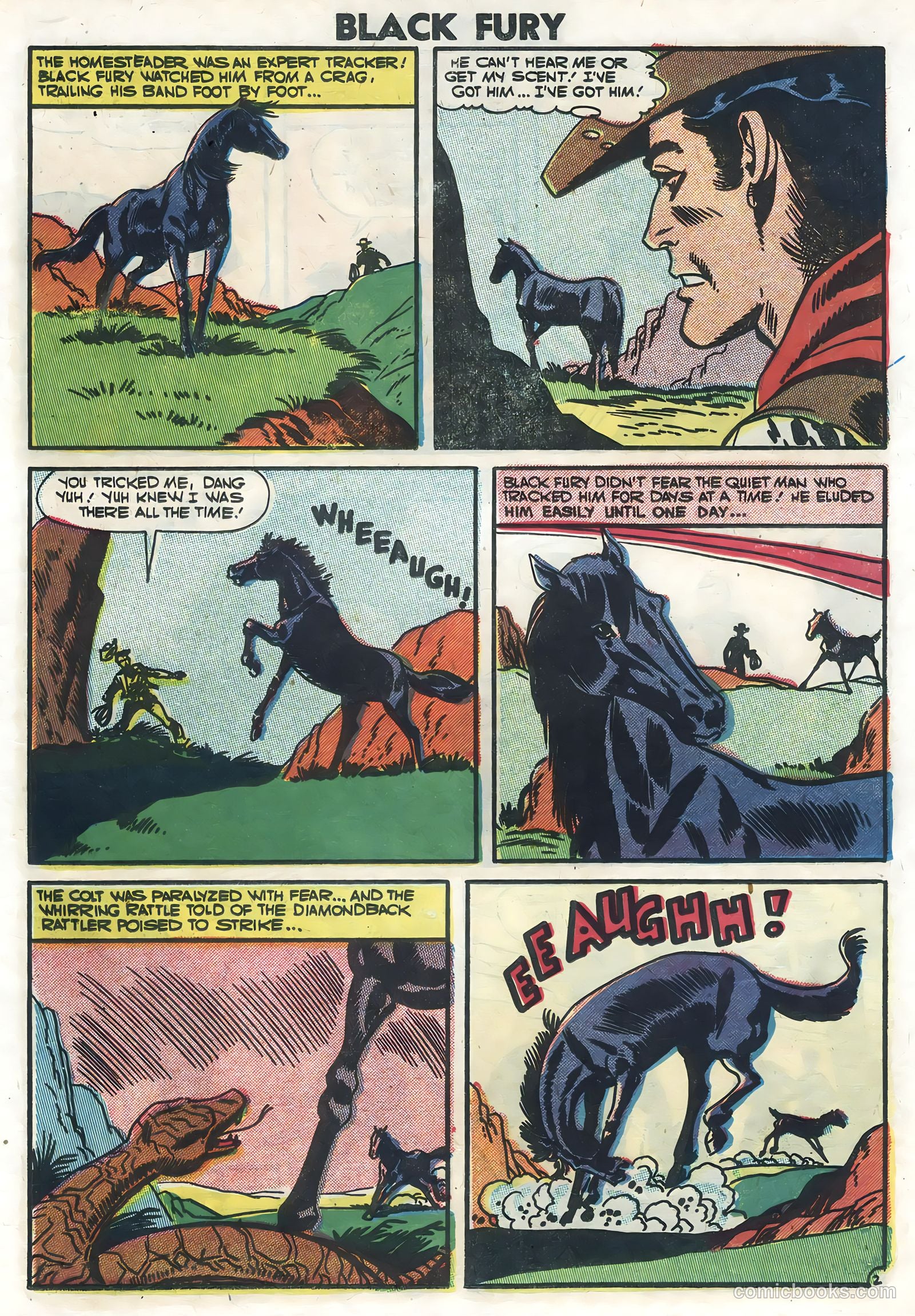 Black Fury #10 — page 19 of 36