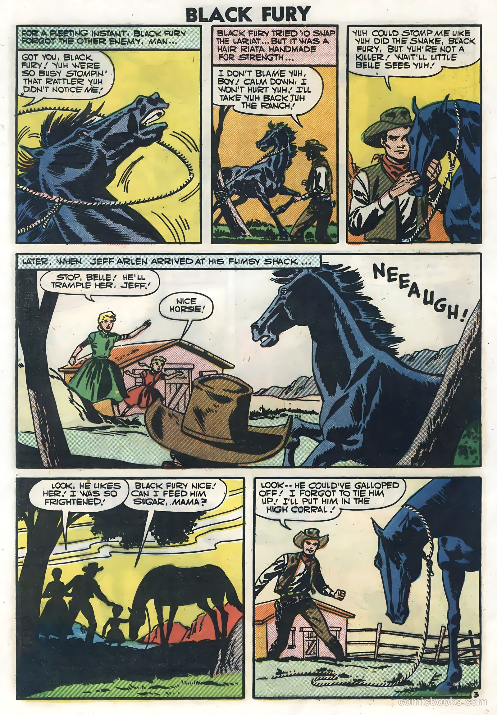 Black Fury #10 — page 20 of 36