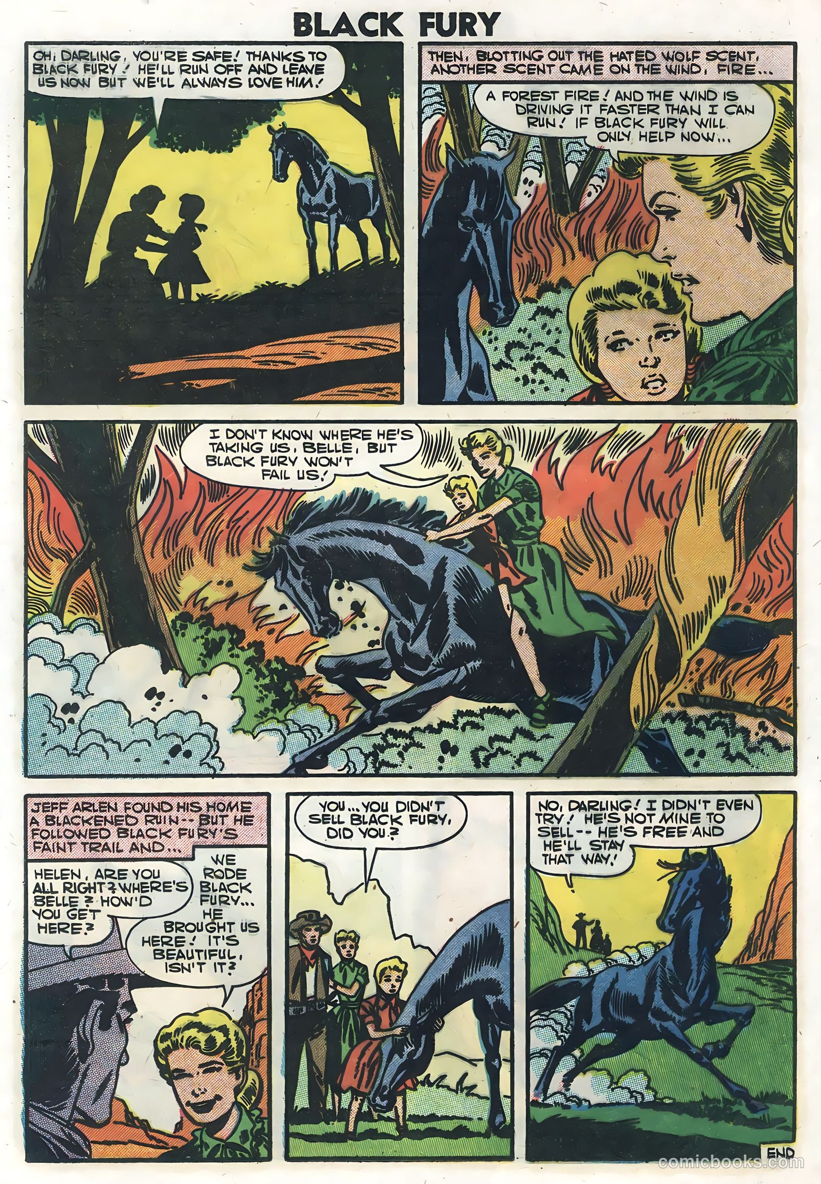 Black Fury #10 — page 24 of 36
