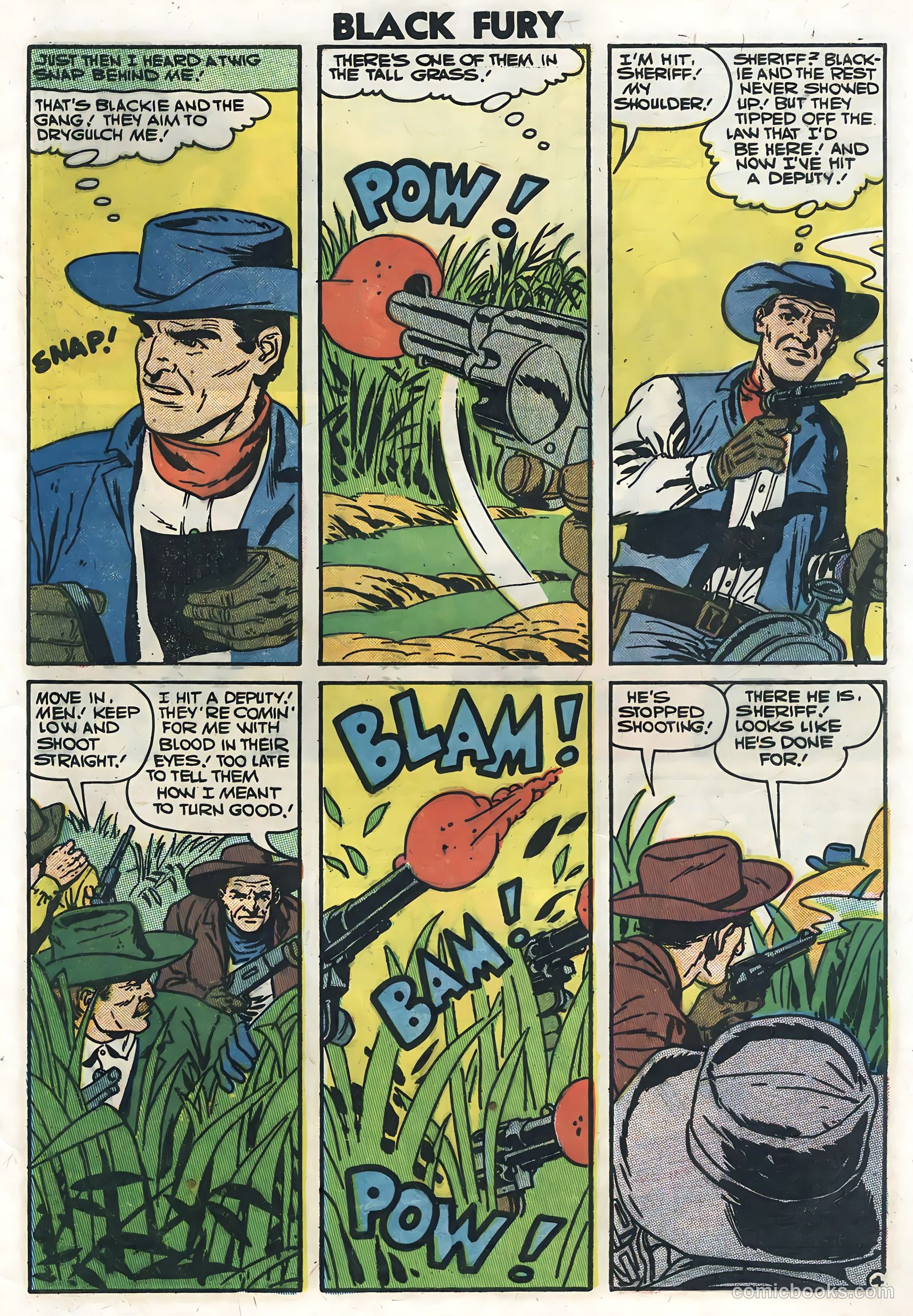 Black Fury #10 — page 29 of 36