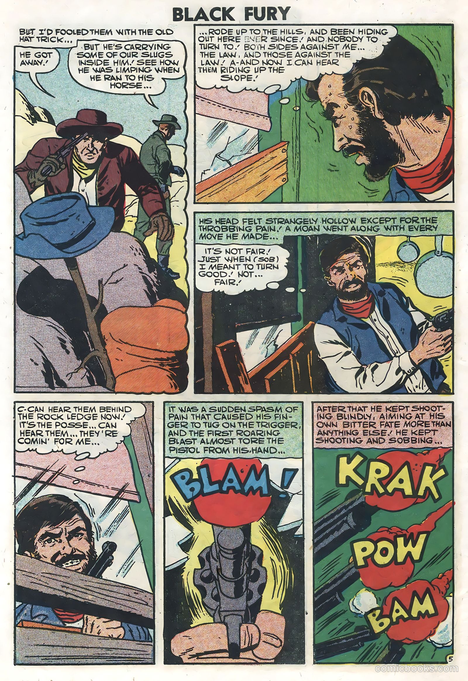 Black Fury #10 — page 30 of 36